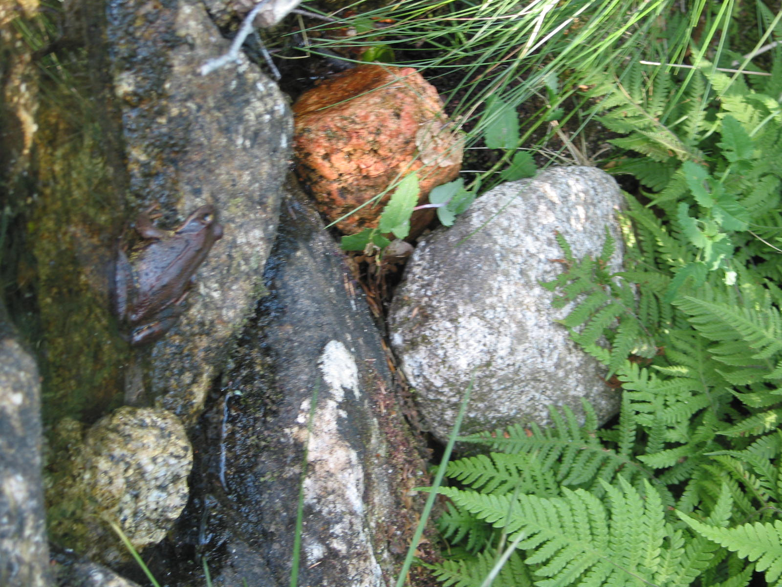 Canon POWERSHOT G2 sample photo. Paysage des cévennes photography