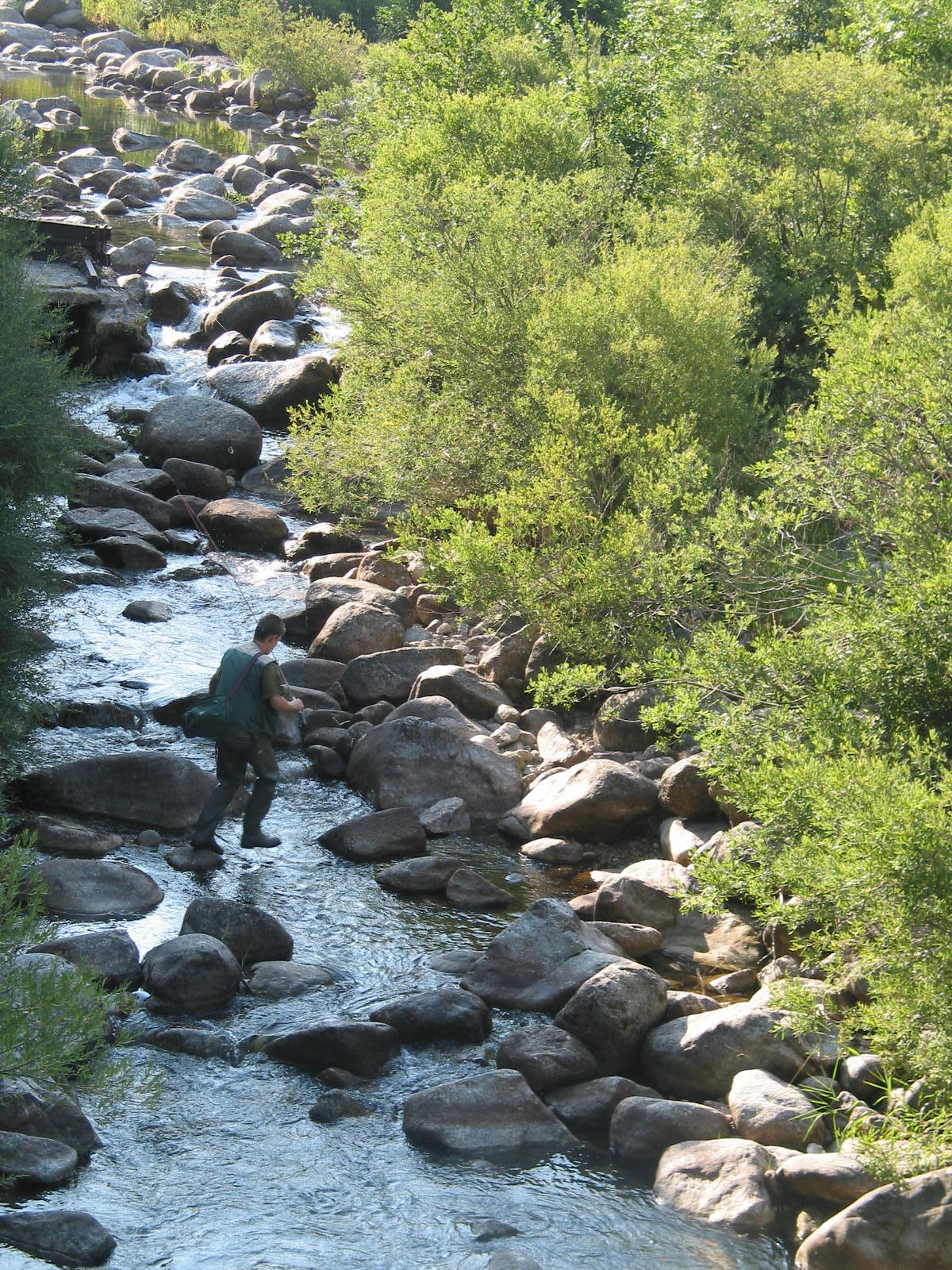 Canon POWERSHOT G2 sample photo. Paysage des cévennes photography