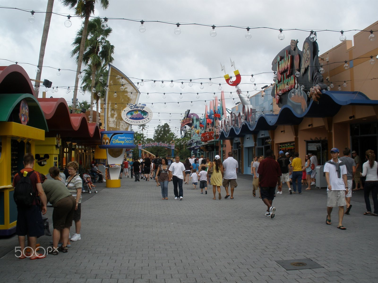 Olympus FE340,X855,C560 sample photo. Waltdisney - orlando photography