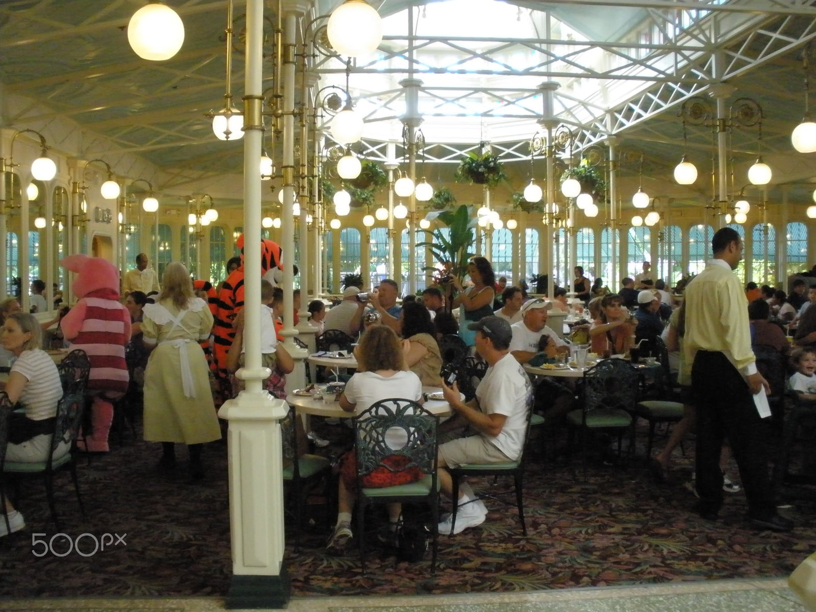 Olympus FE340,X855,C560 sample photo. Waltdisney - orlando photography
