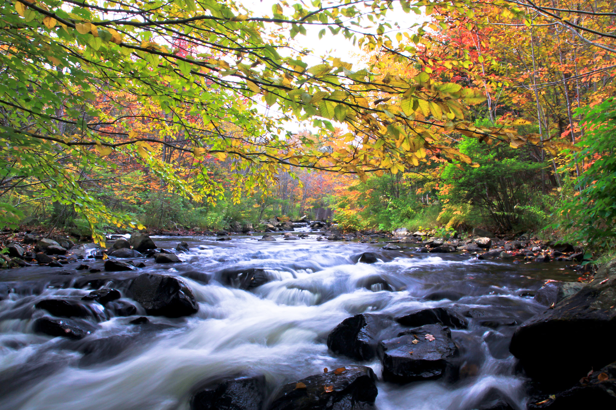 Sigma 17-70mm F2.8-4 DC Macro OS HSM sample photo. River in autumn photography
