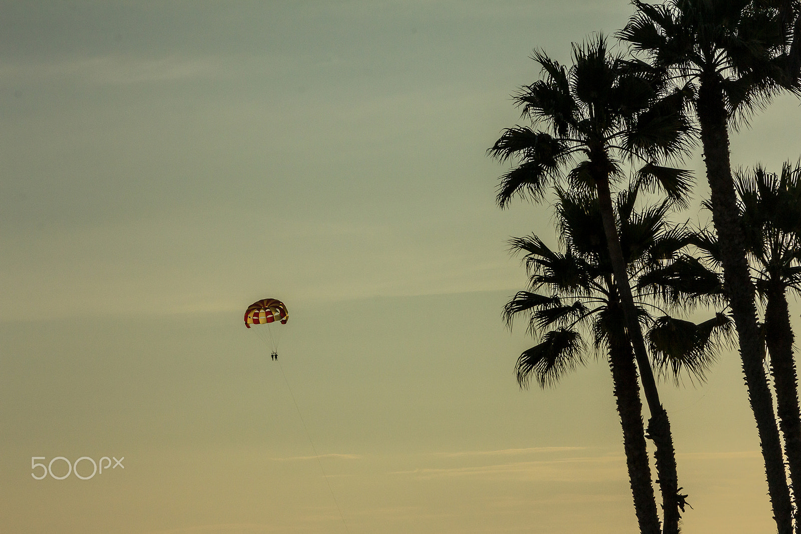 Canon EF 28-105mm f/3.5-4.5 USM sample photo. Parachutes photography