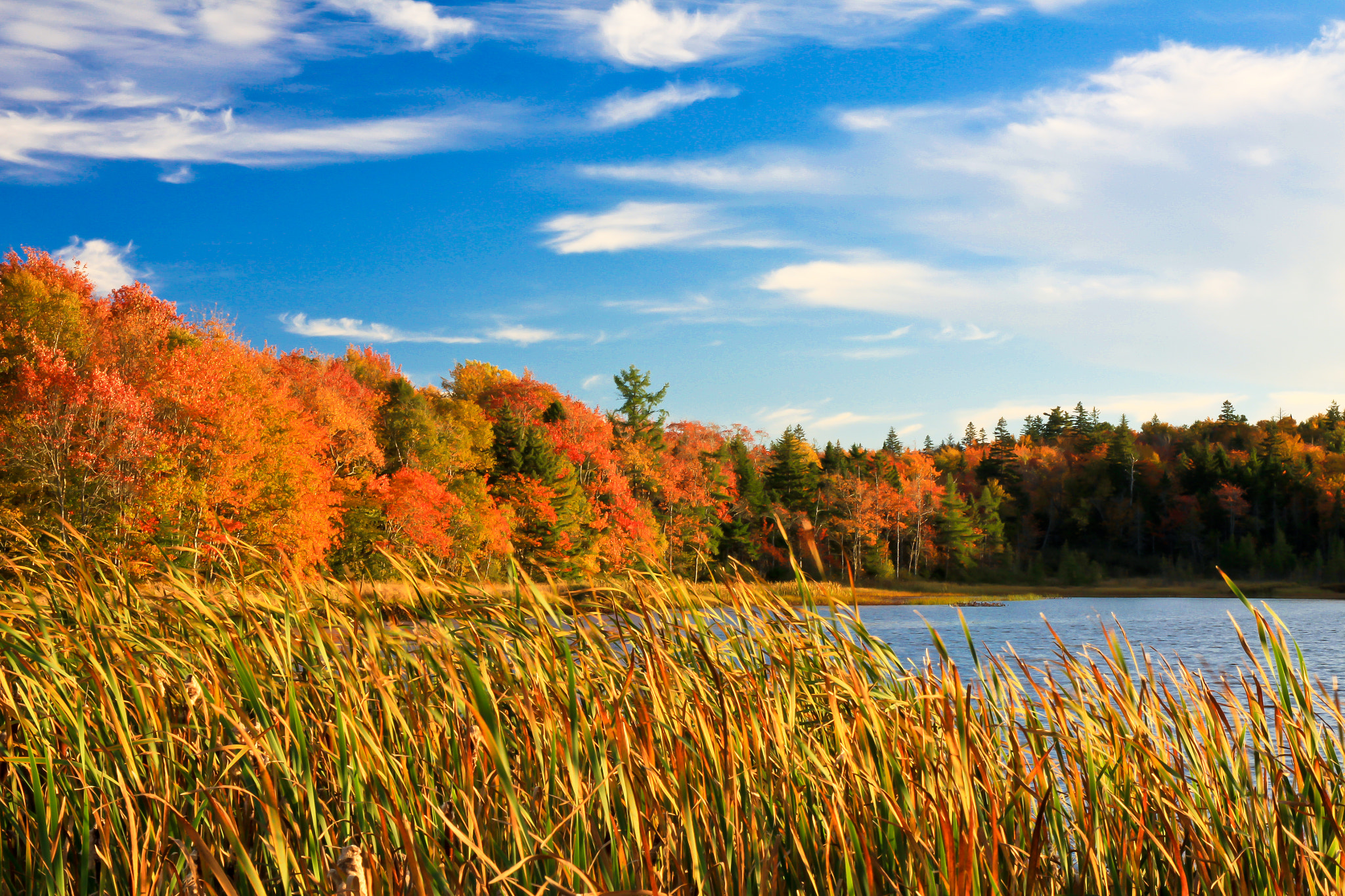 Sigma 17-70mm F2.8-4 DC Macro OS HSM sample photo. Autumn by the lake photography