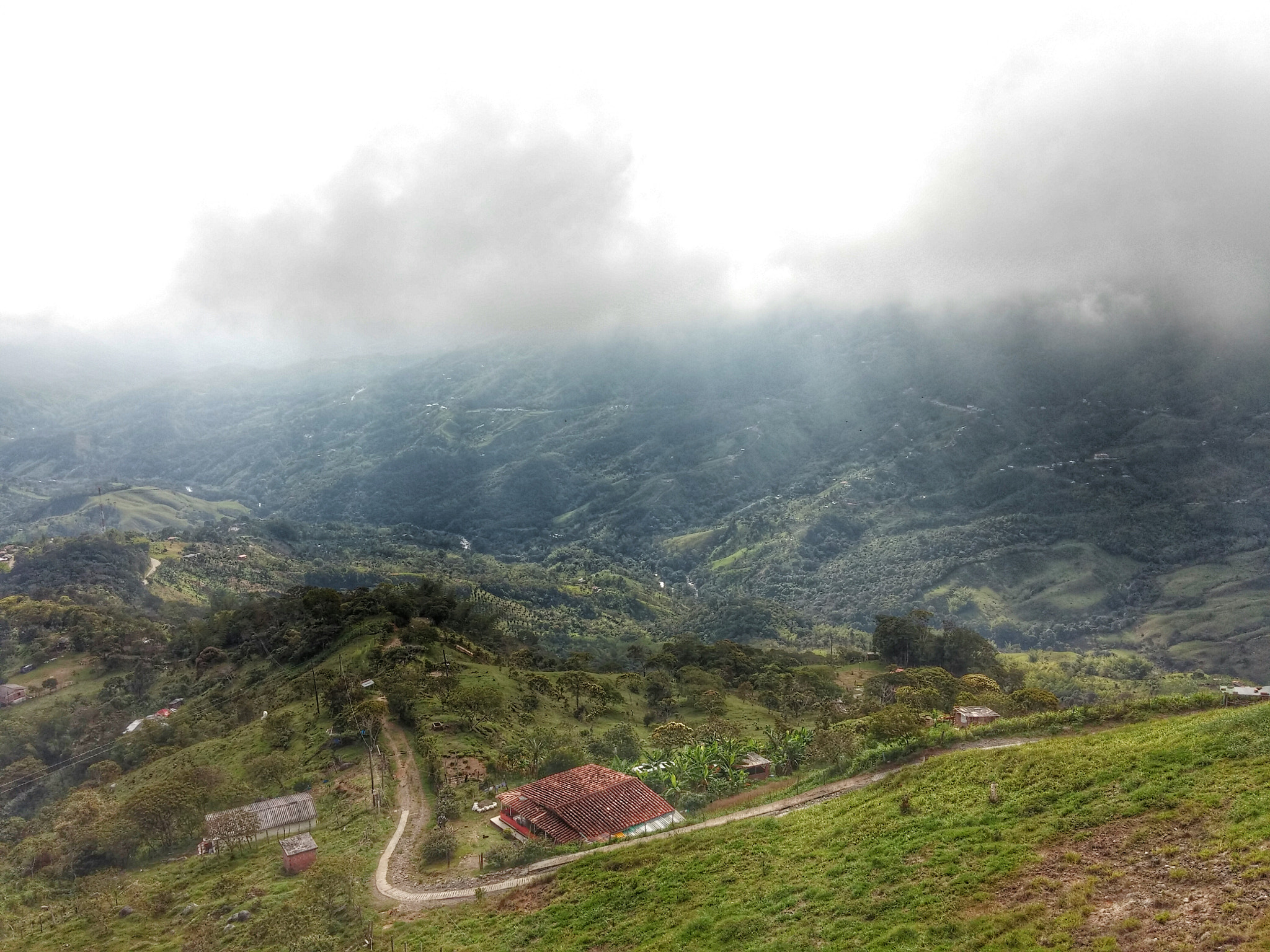LG G FLEX sample photo