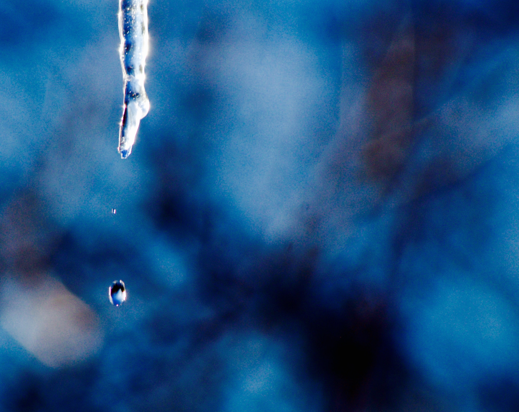 Pentax smc DA 55-300mm F4.0-5.8 ED sample photo. Step into blue photography