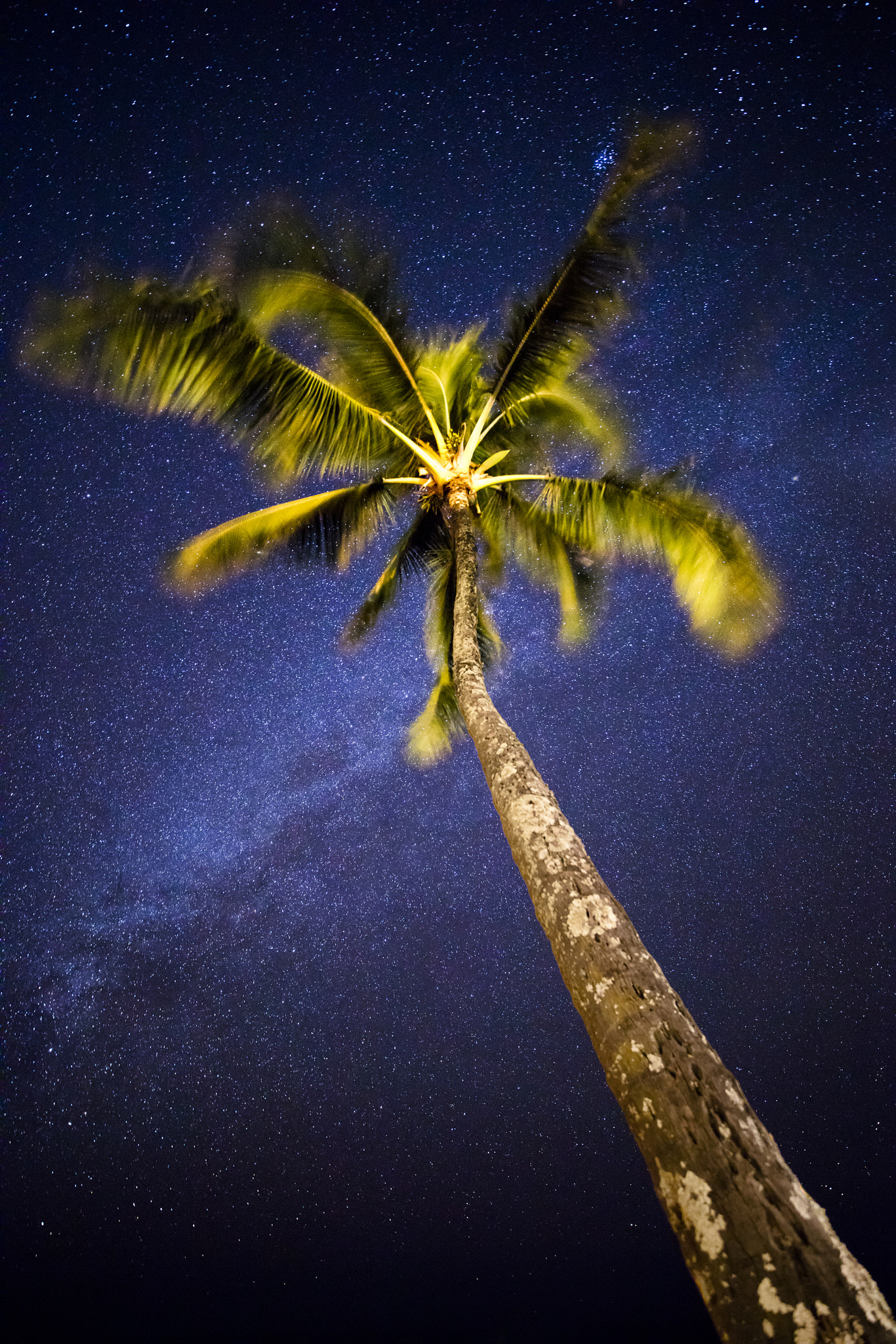 Canon EOS 5DS sample photo. Kauai night sky photography
