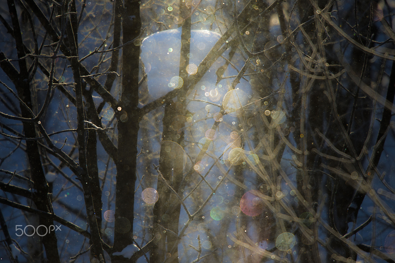 Nikon AF-S Nikkor 400mm F2.8G ED VR II sample photo. 細氷 photography
