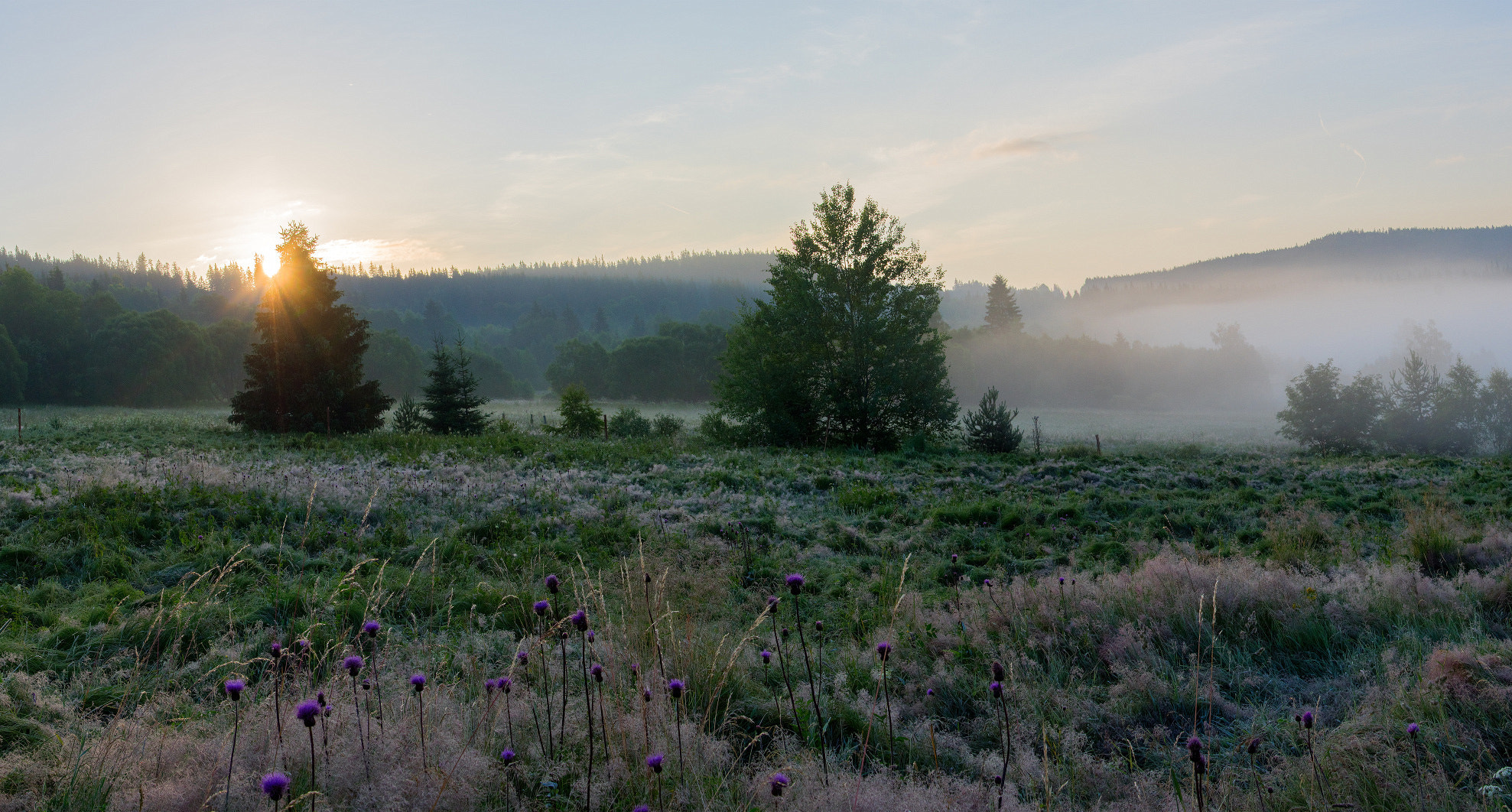 Pentax smc DA 18-270mm F3.5-6.3 ED SDM sample photo. Panorama bez nazvu photography