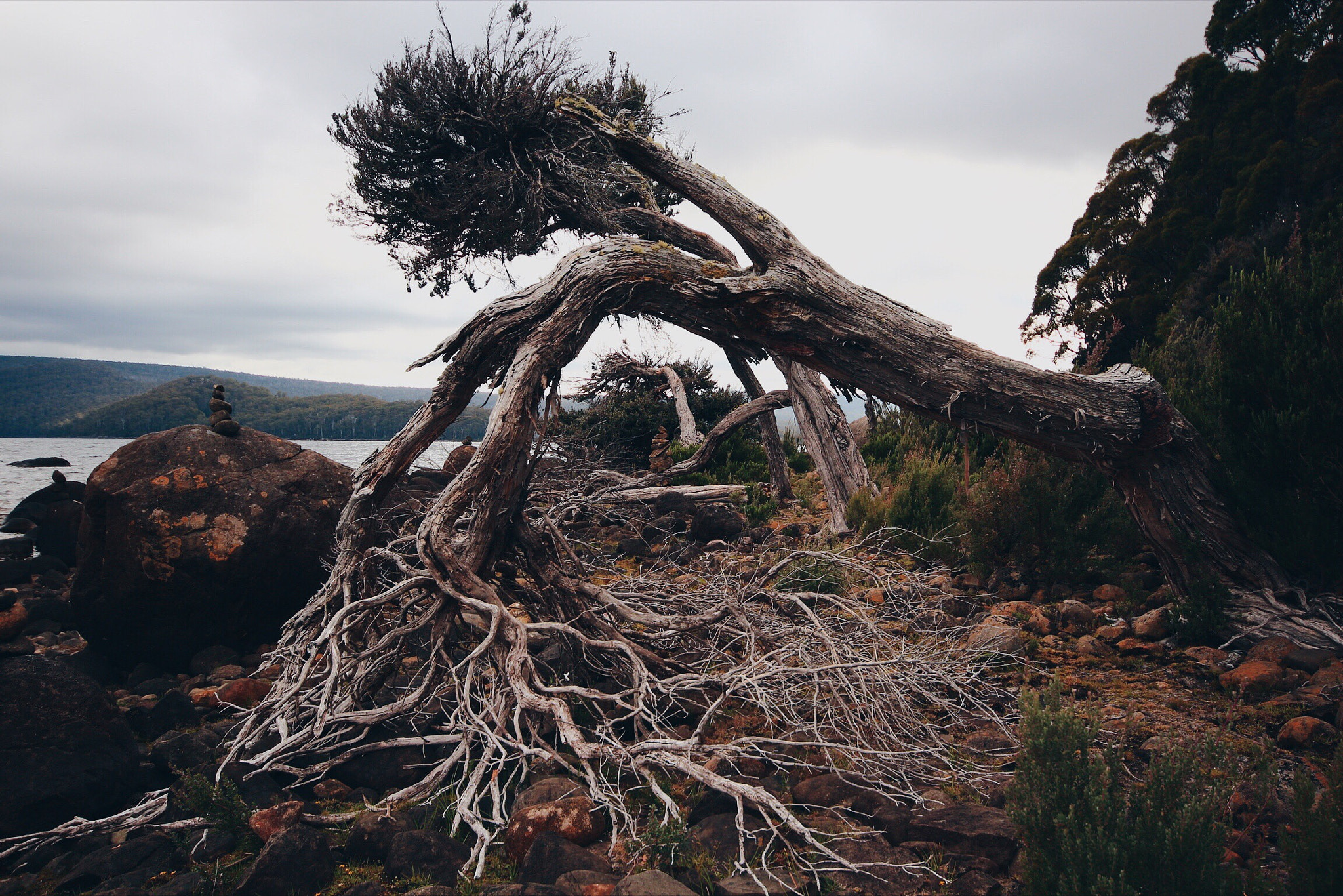 Canon 10-20mm sample photo. Fallen photography