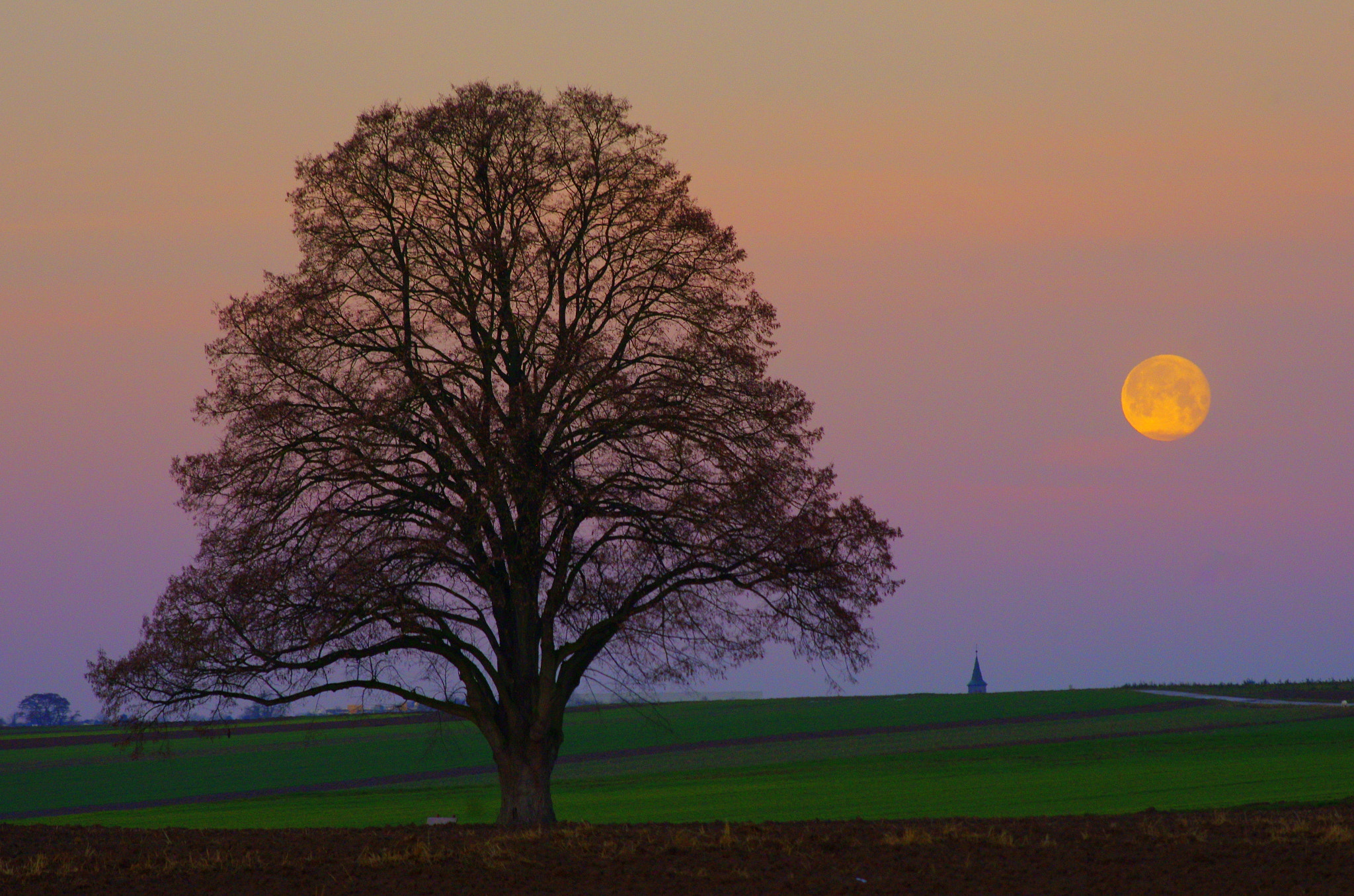 Pentax K-5 sample photo. A new day ist dawning photography