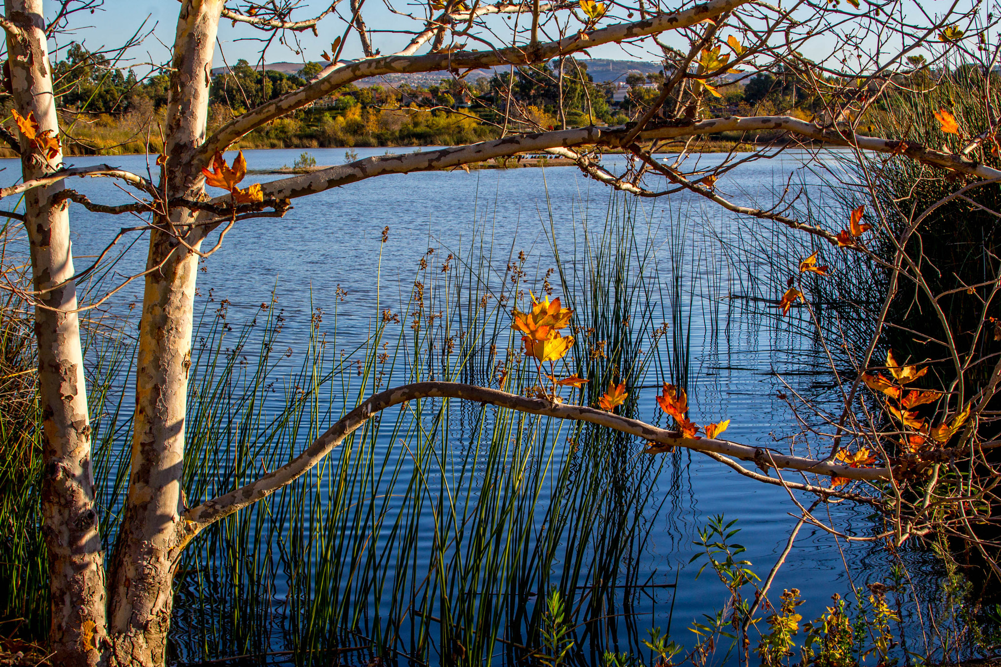 Canon EOS 100D (EOS Rebel SL1 / EOS Kiss X7) sample photo. San joaquin wildlife sanctuary view photography