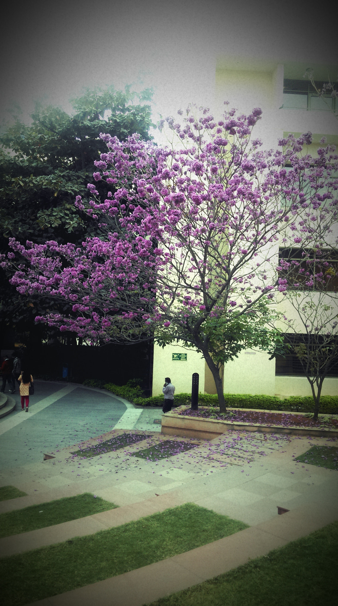 HTC 0P9C8 sample photo. Beauty photography