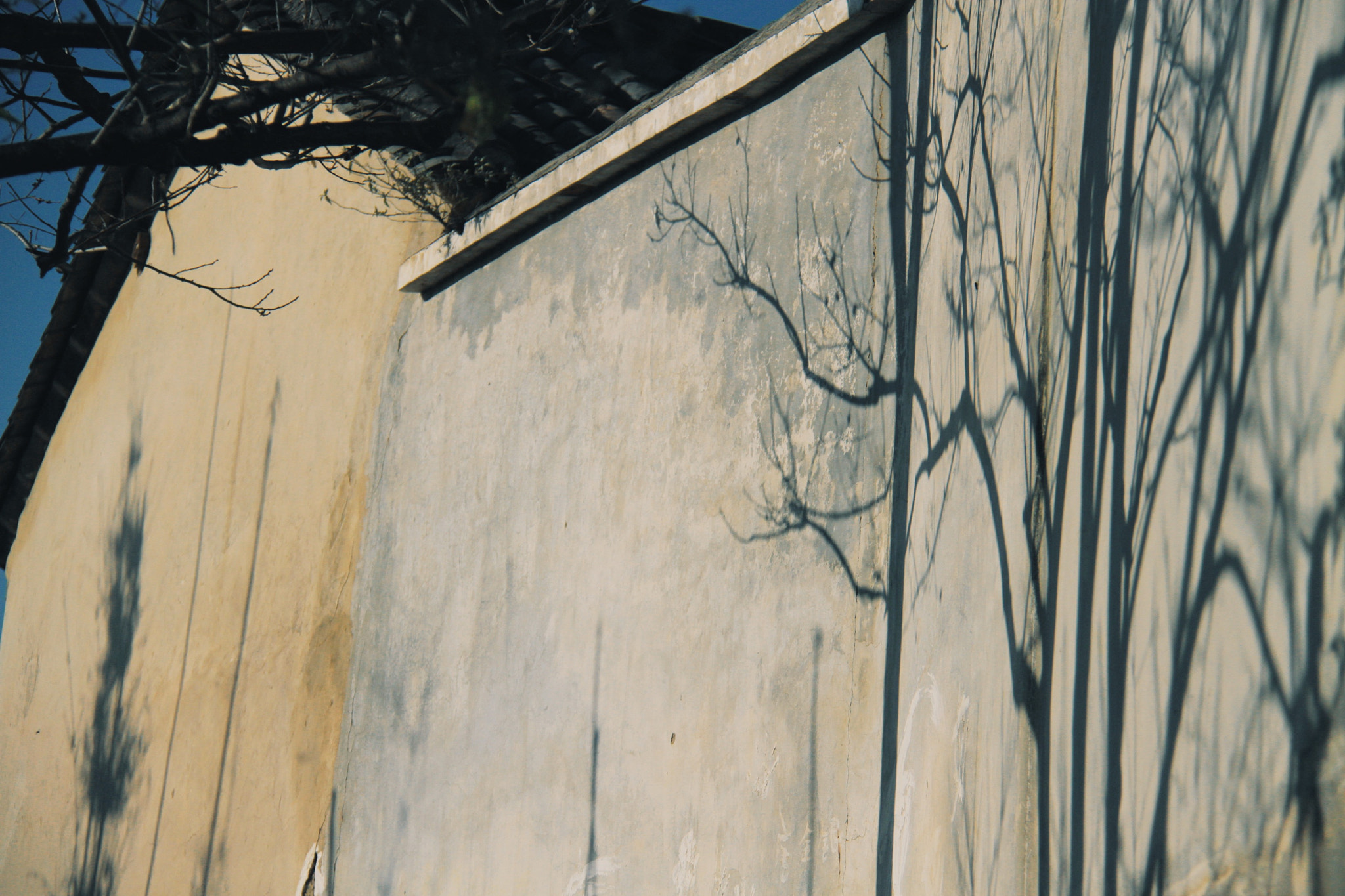 Canon EF-S 18-200mm F3.5-5.6 IS sample photo. Wall photography