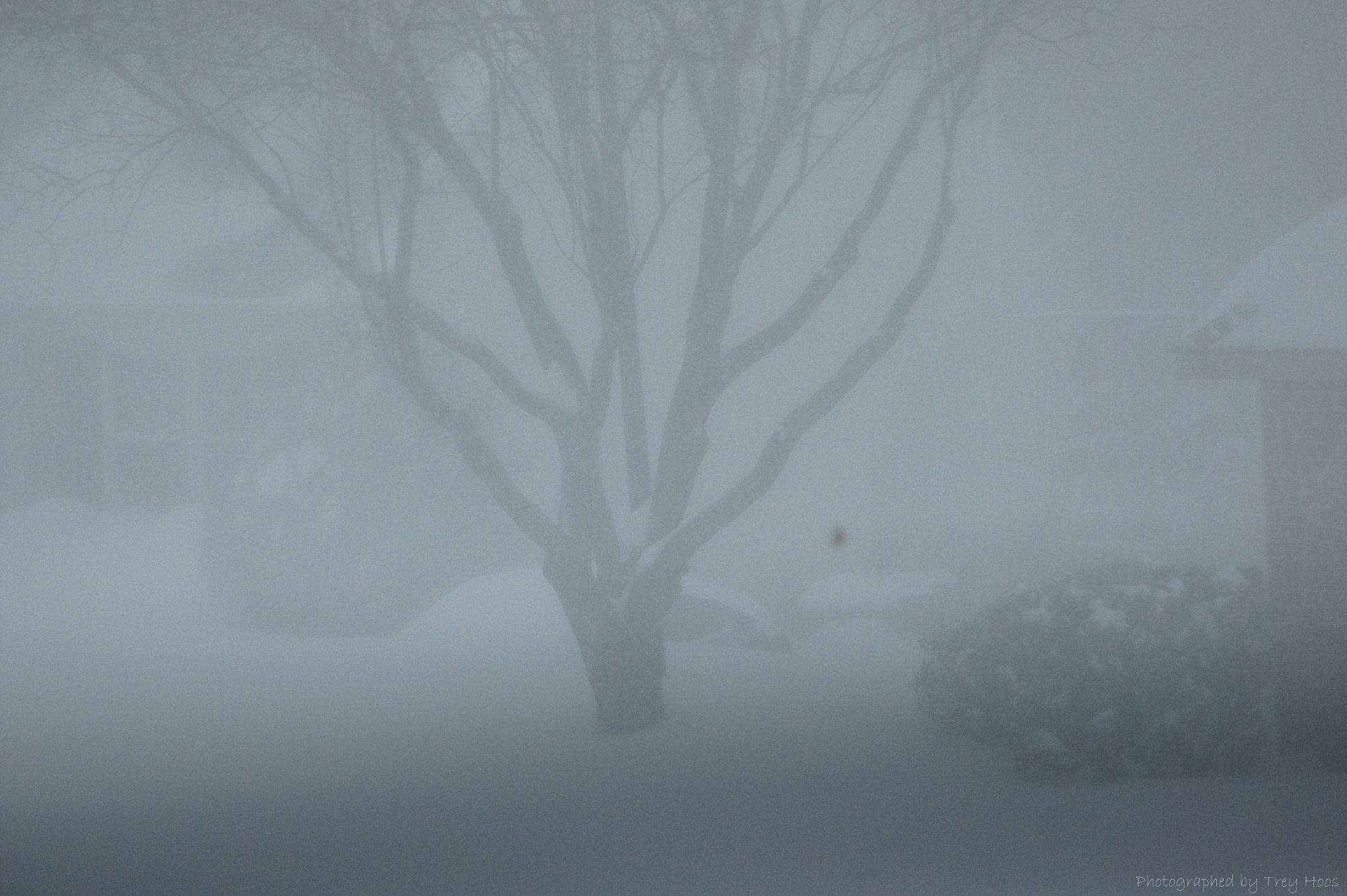 Sony DT 55-200mm F4-5.6 SAM sample photo. Blizzard visibility photography