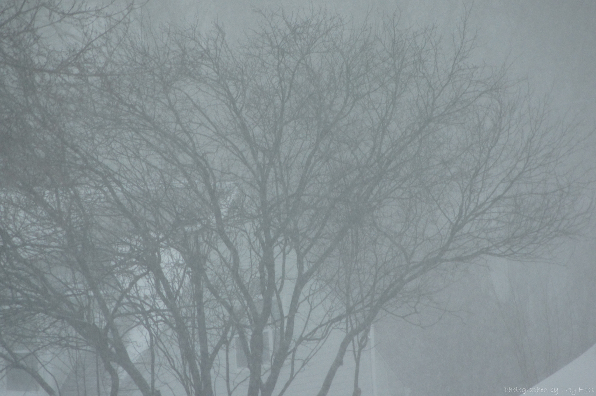 Sony DT 55-200mm F4-5.6 SAM sample photo. Snow coming down hard photography