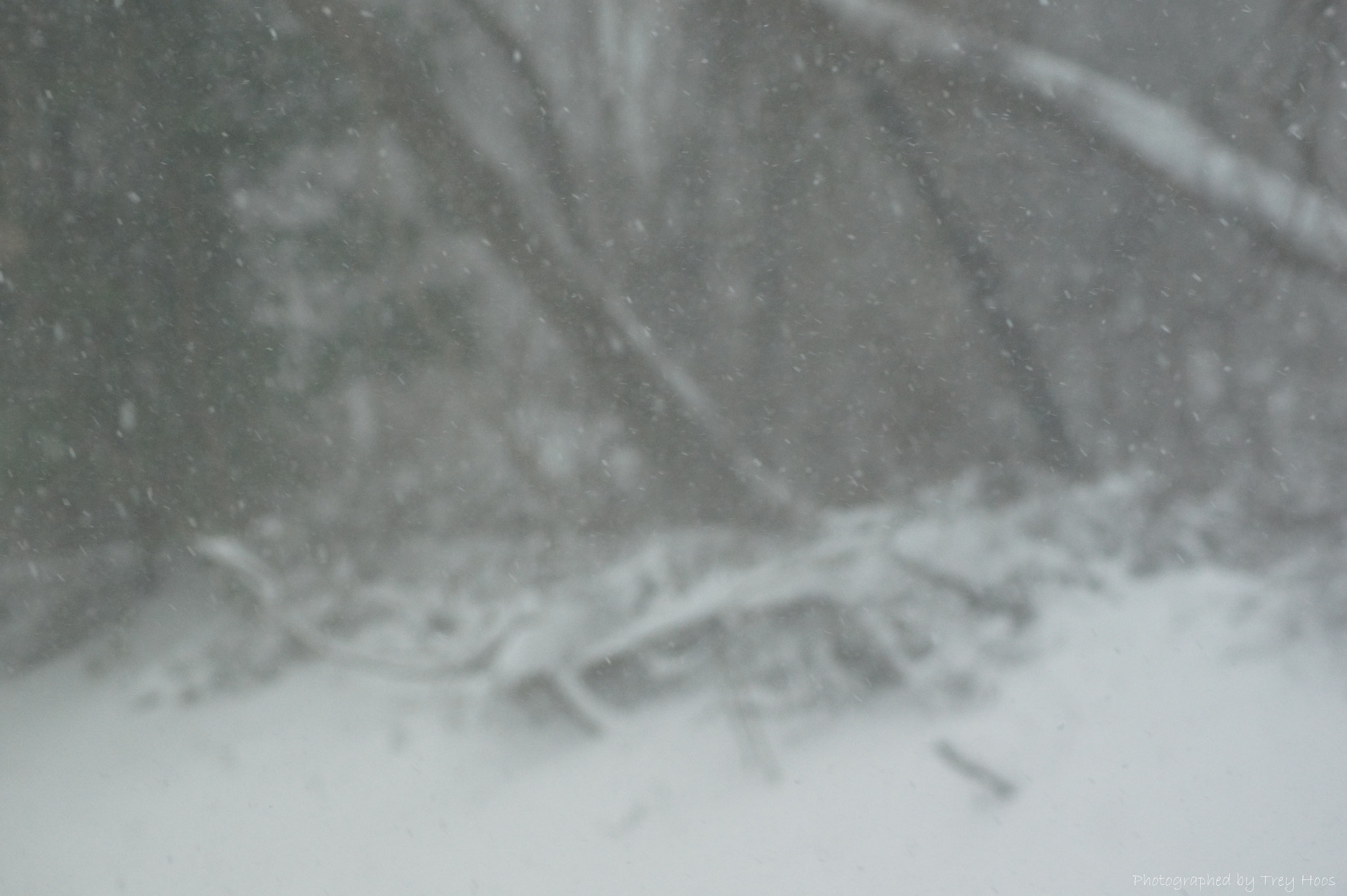 Sony DT 55-200mm F4-5.6 SAM sample photo. Suspended flakes photography