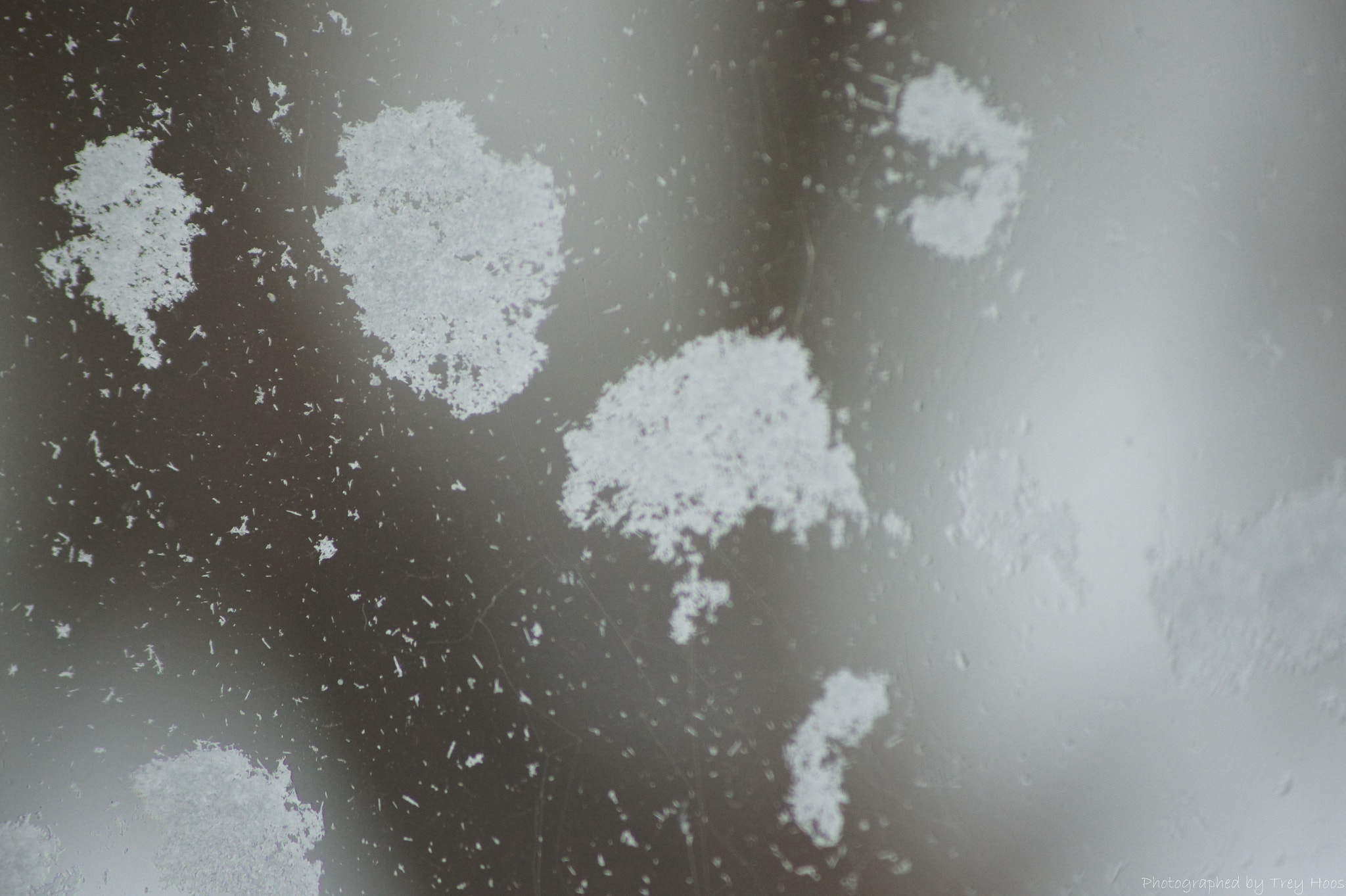 Sony DT 55-200mm F4-5.6 SAM sample photo. Snowflakes on a window pane photography