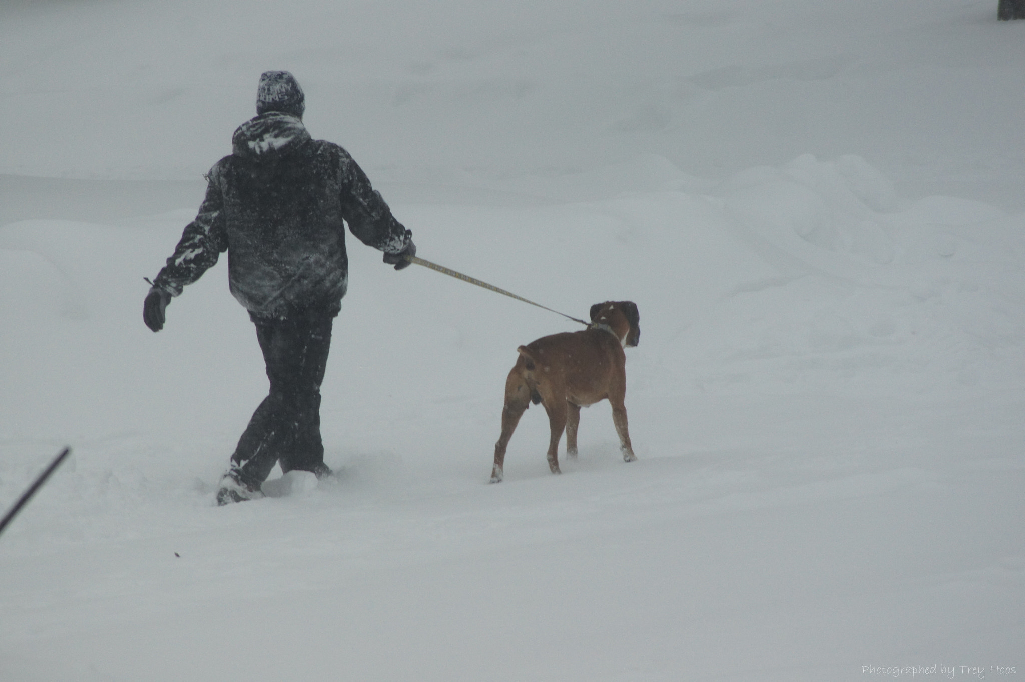 Sony DT 55-200mm F4-5.6 SAM sample photo. Man & best friend photography