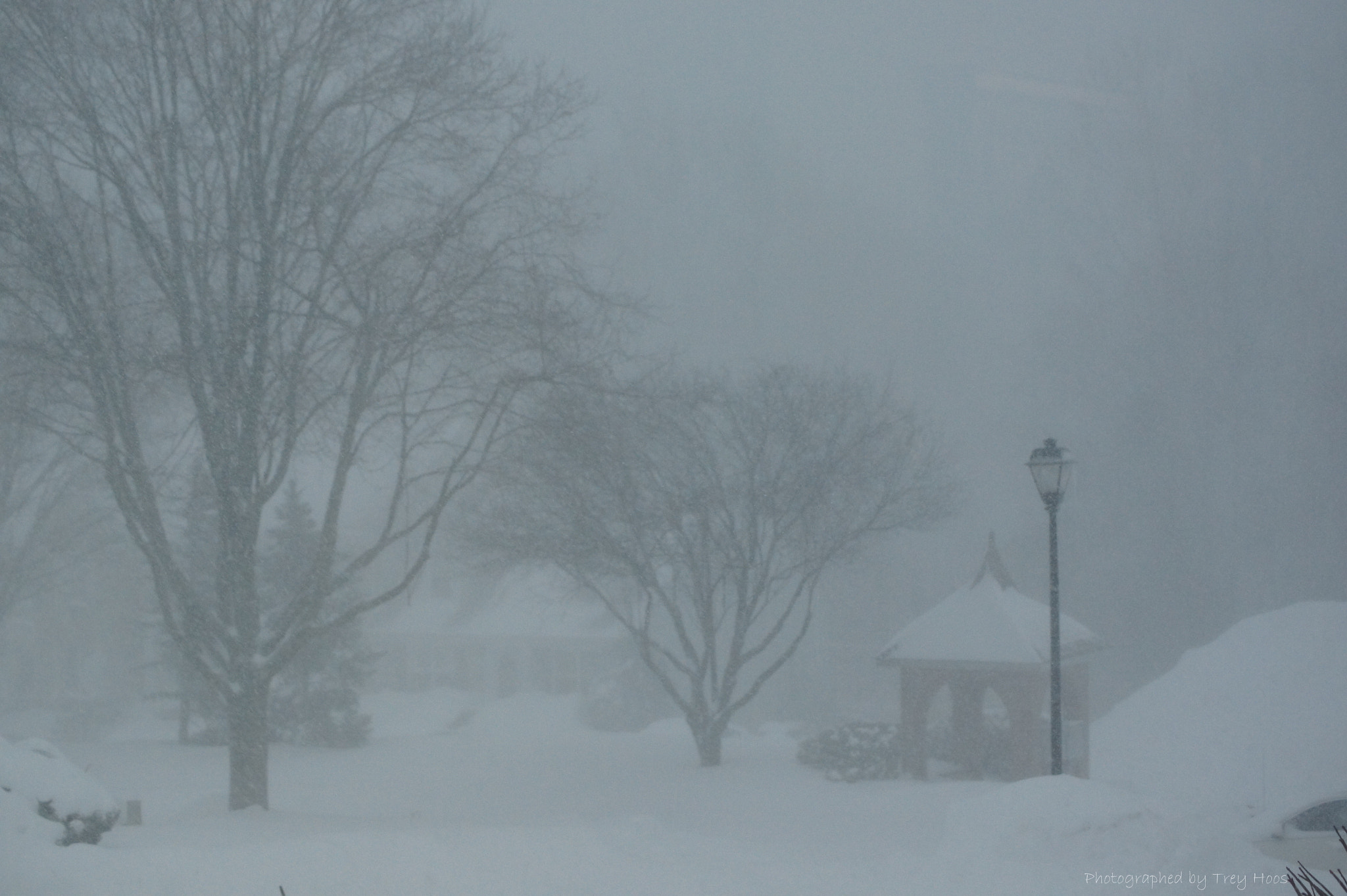 Sony DT 55-200mm F4-5.6 SAM sample photo. Blizzard visibility ii photography