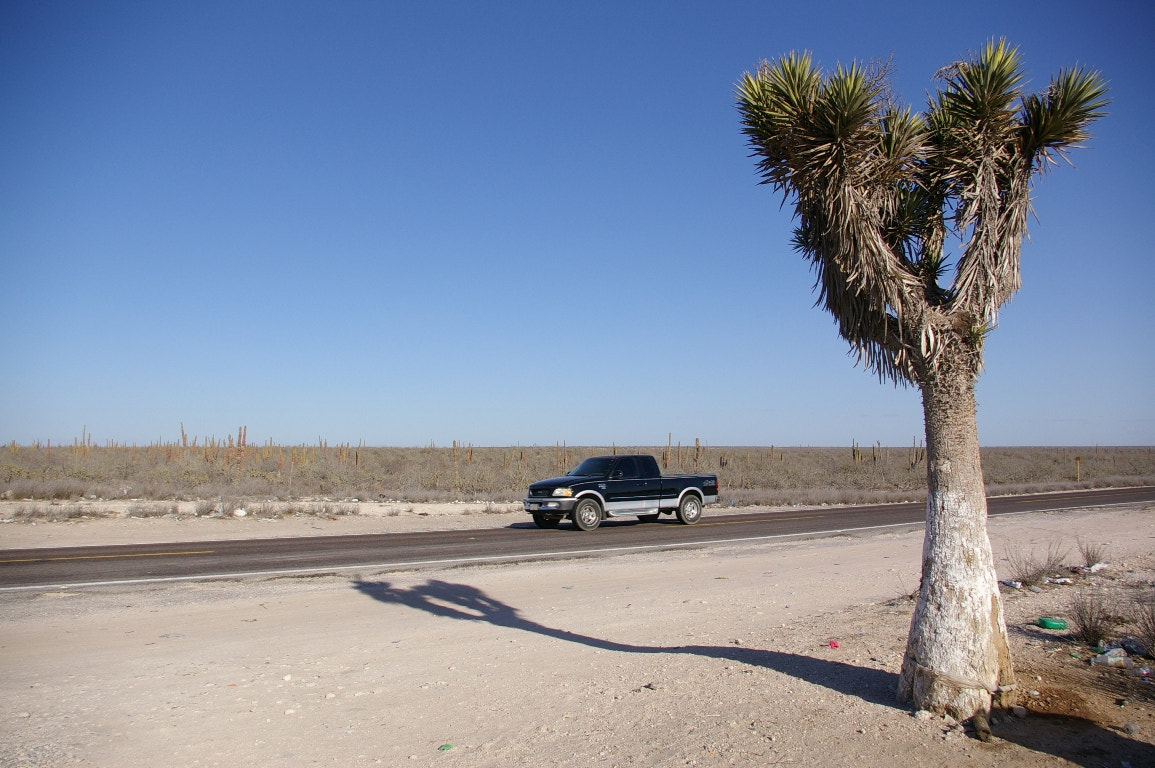 Pentax K110D sample photo. Baja california photography