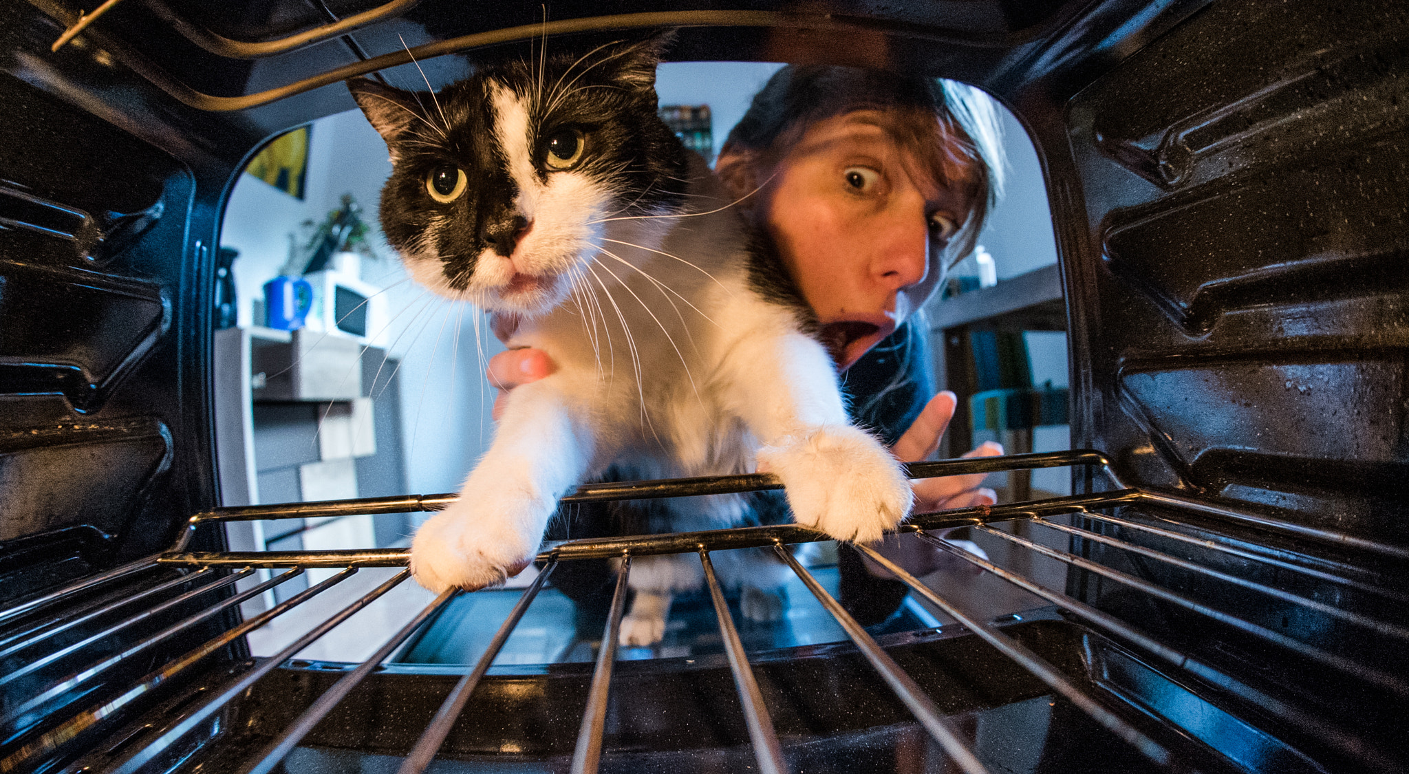 Nikon D750 + Sigma 10mm F2.8 EX DC HSM Diagonal Fisheye sample photo. Grillcat photography