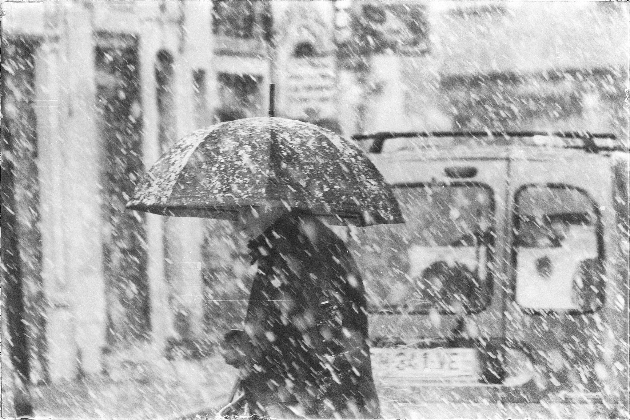 Fujifilm X-A1 + Fujifilm XC 50-230mm F4.5-6.7 OIS sample photo. Under the snow photography