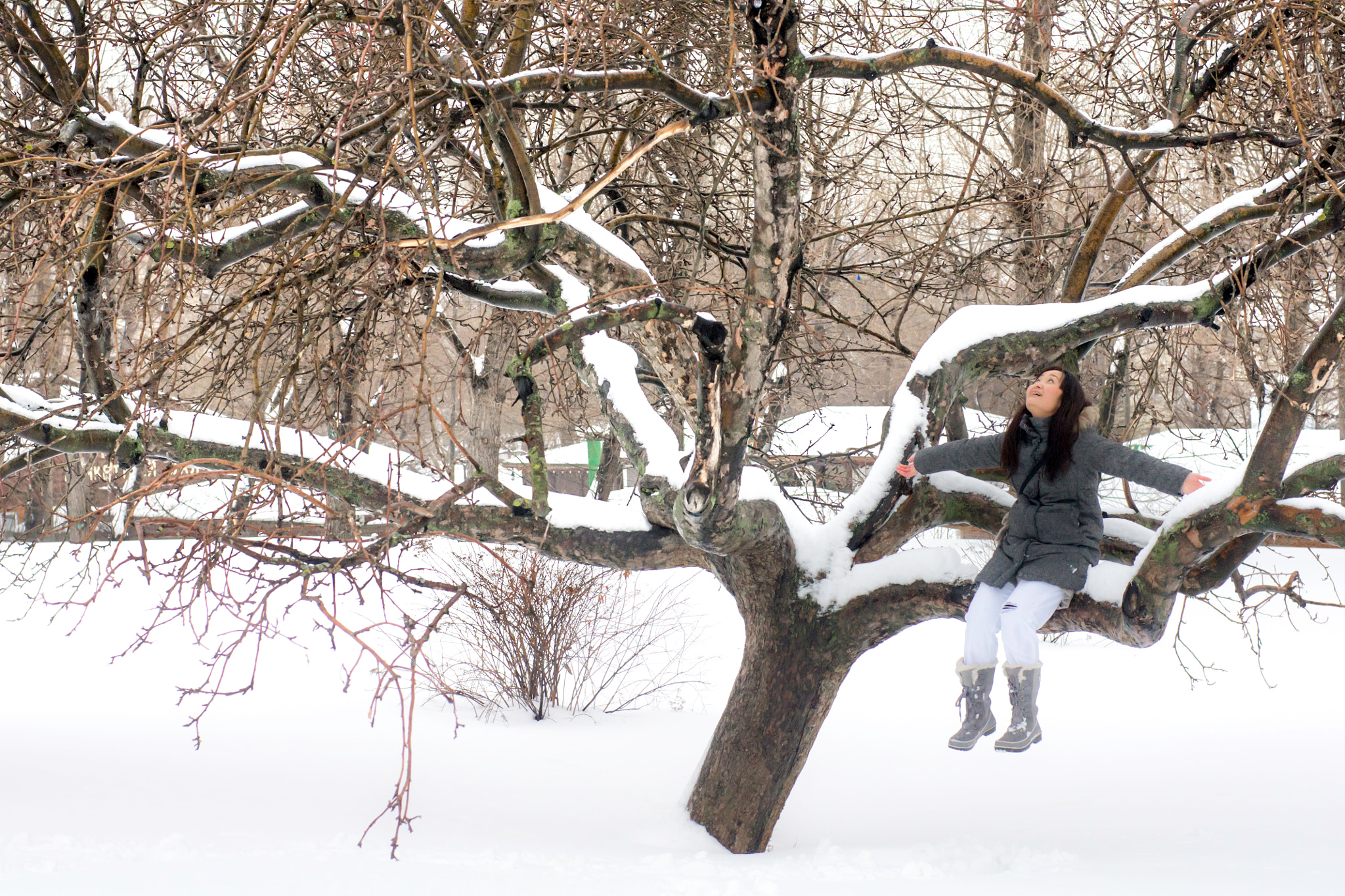 Sony Alpha DSLR-A500 + Sony 50mm F1.4 sample photo. Winter wonderland photography