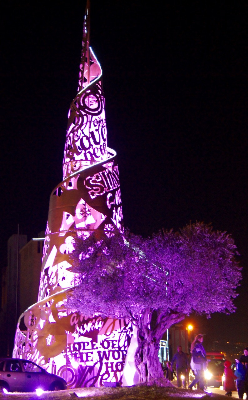 Sony DT 18-55mm F3.5-5.6 SAM II sample photo. Purple byblos christmas tree photography