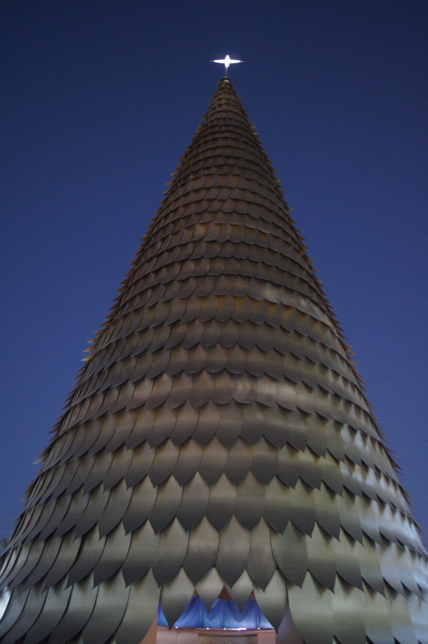 Sony DT 18-55mm F3.5-5.6 SAM II sample photo. Metallic byblos christmas tree photography