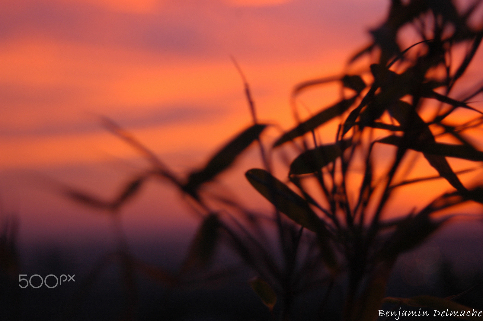AF Zoom-Nikkor 35-80mm f/4-5.6D sample photo. Sunset over rouen photography