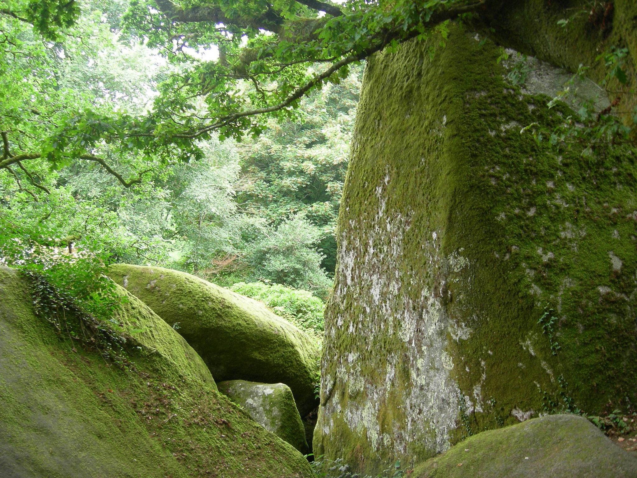 Nikon COOLPIX P2 sample photo. Stones at huelgoat photography