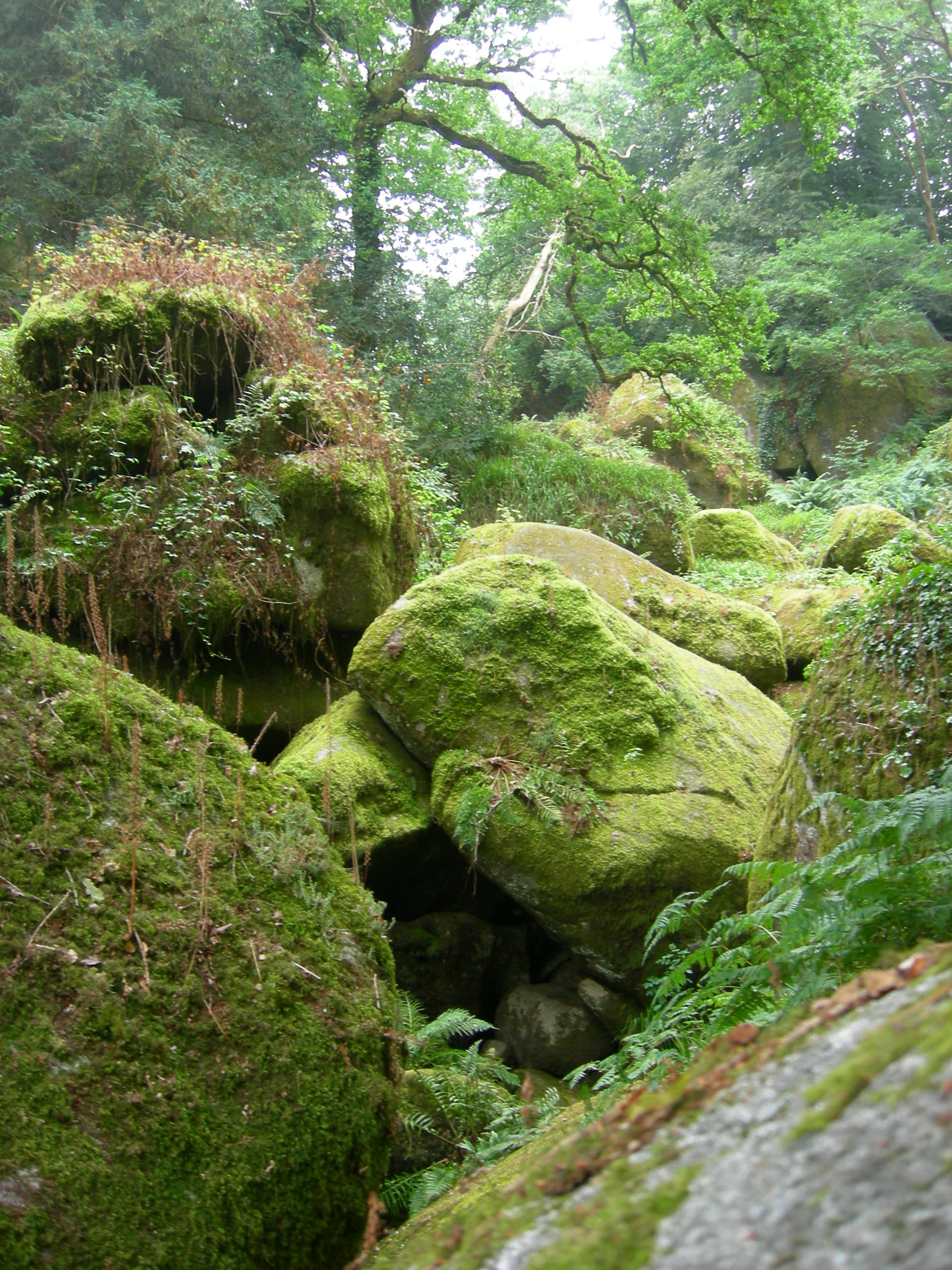 Nikon COOLPIX P2 sample photo. Stones at huelgoat photography