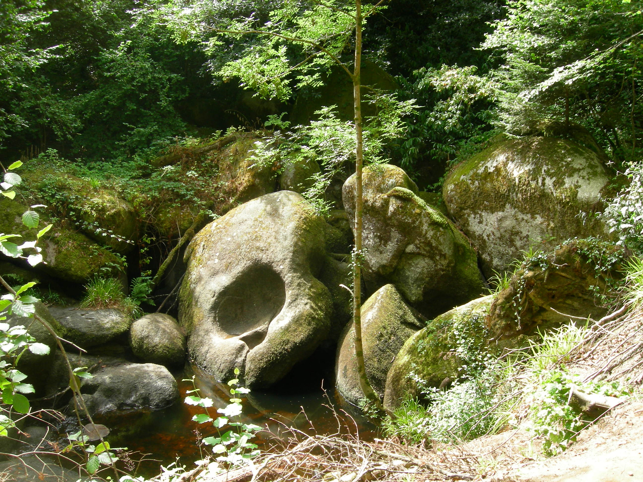 Nikon COOLPIX P2 sample photo. Stones at huelgoat photography