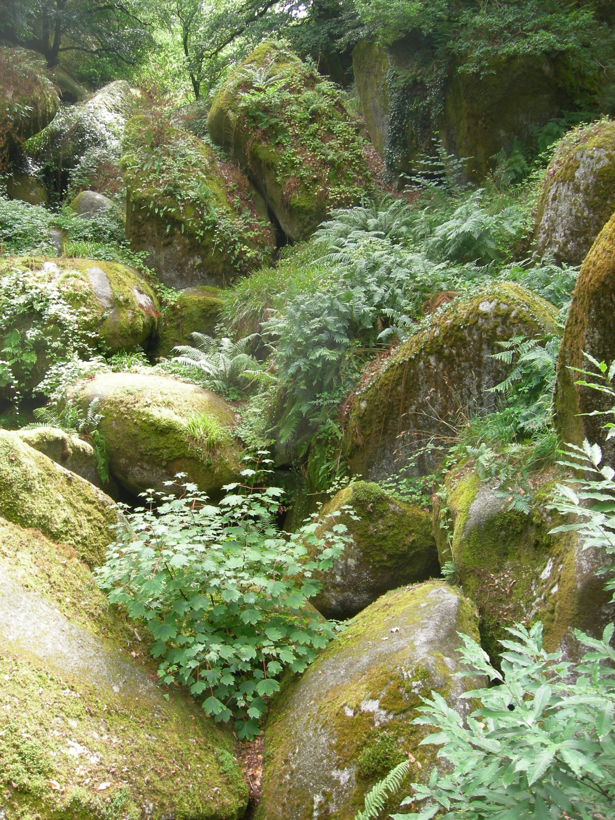 Nikon COOLPIX P2 sample photo. Stones at huelgoat photography