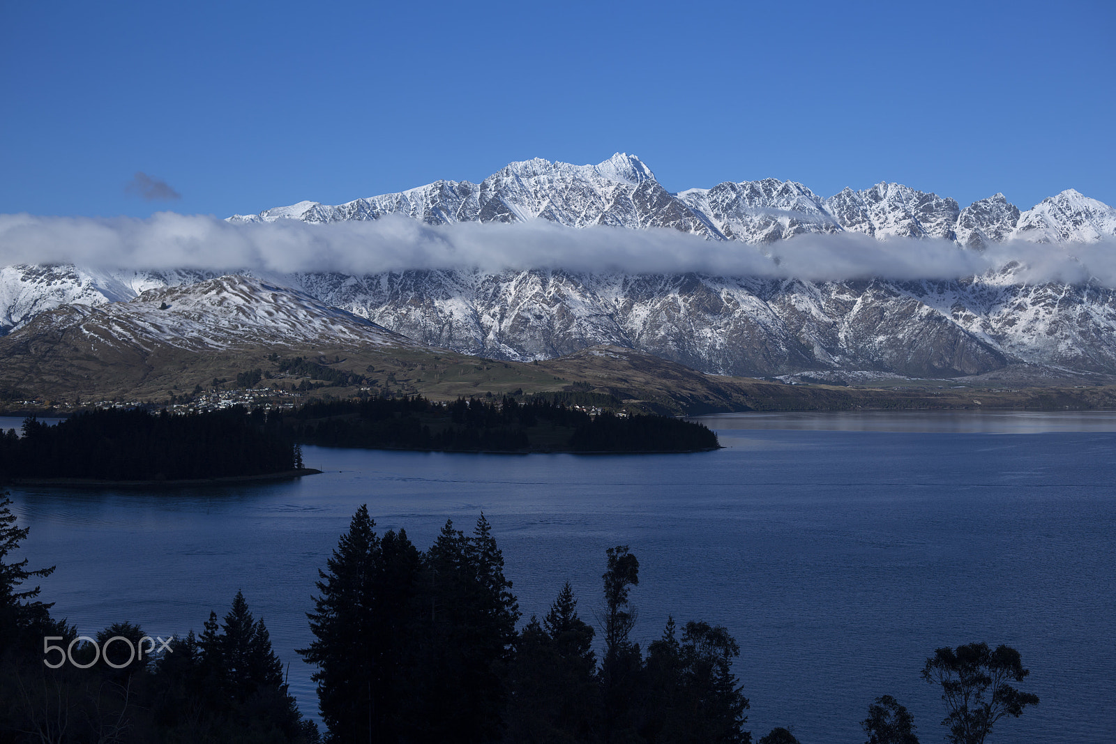 ZEISS Makro-Planar T* 50mm F2 sample photo. Queenstown photography