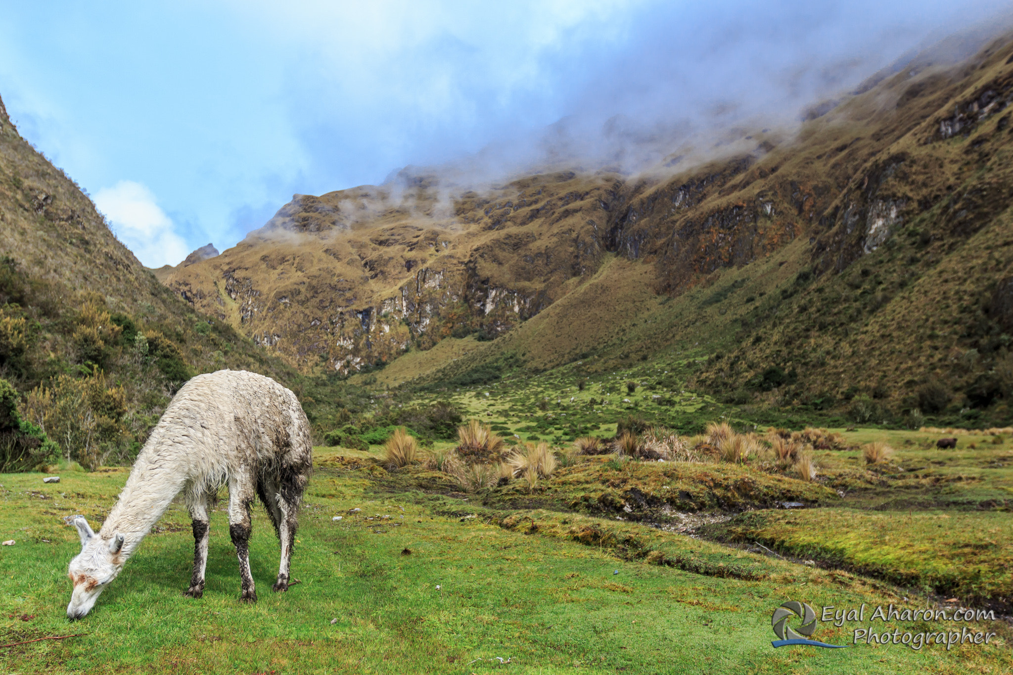 Canon EF 16-35mm F2.8L II USM sample photo. Machupichu trek peru dec photography