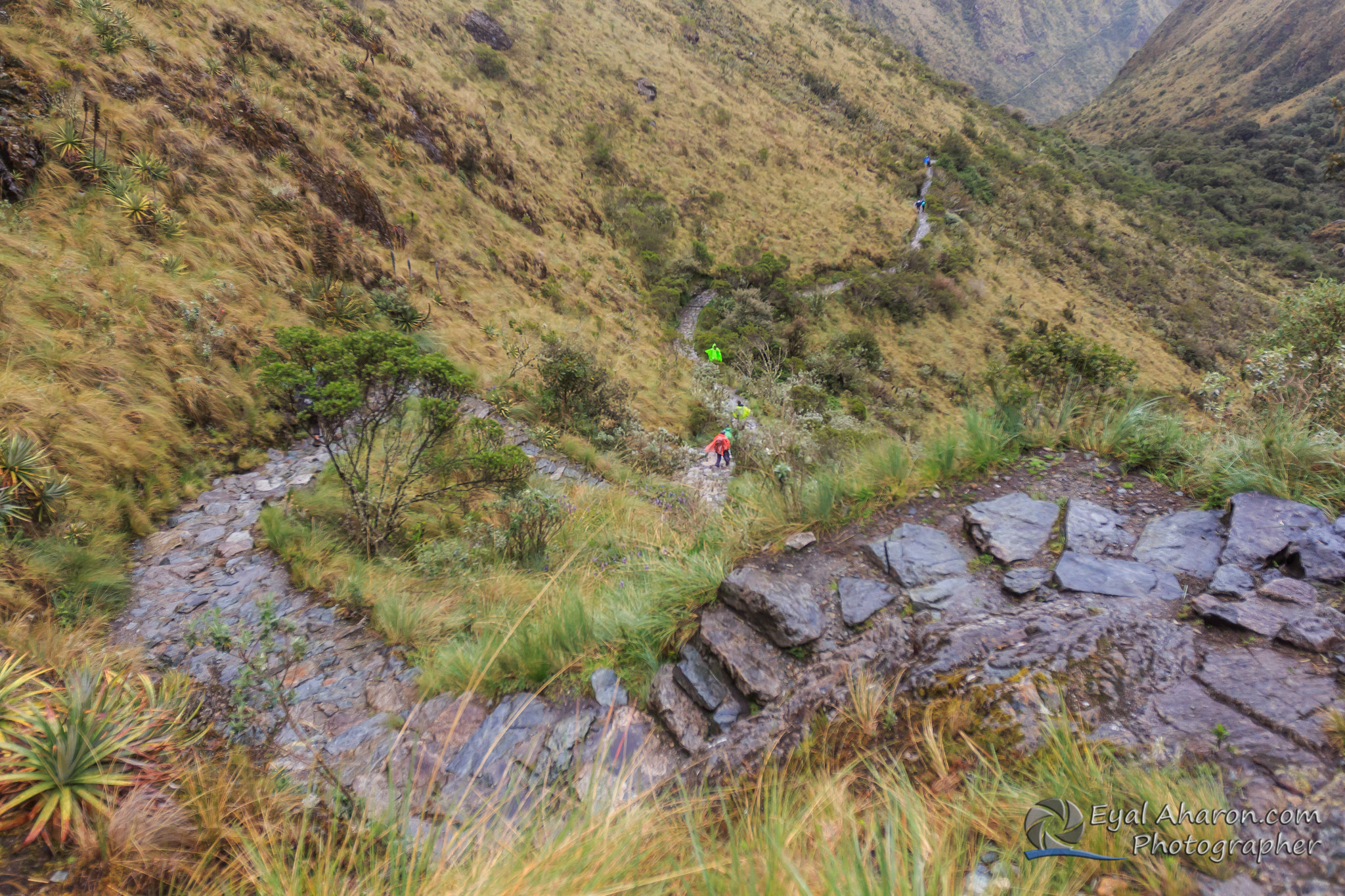 Canon EF 16-35mm F2.8L II USM sample photo. Machupichu trek peru dec photography