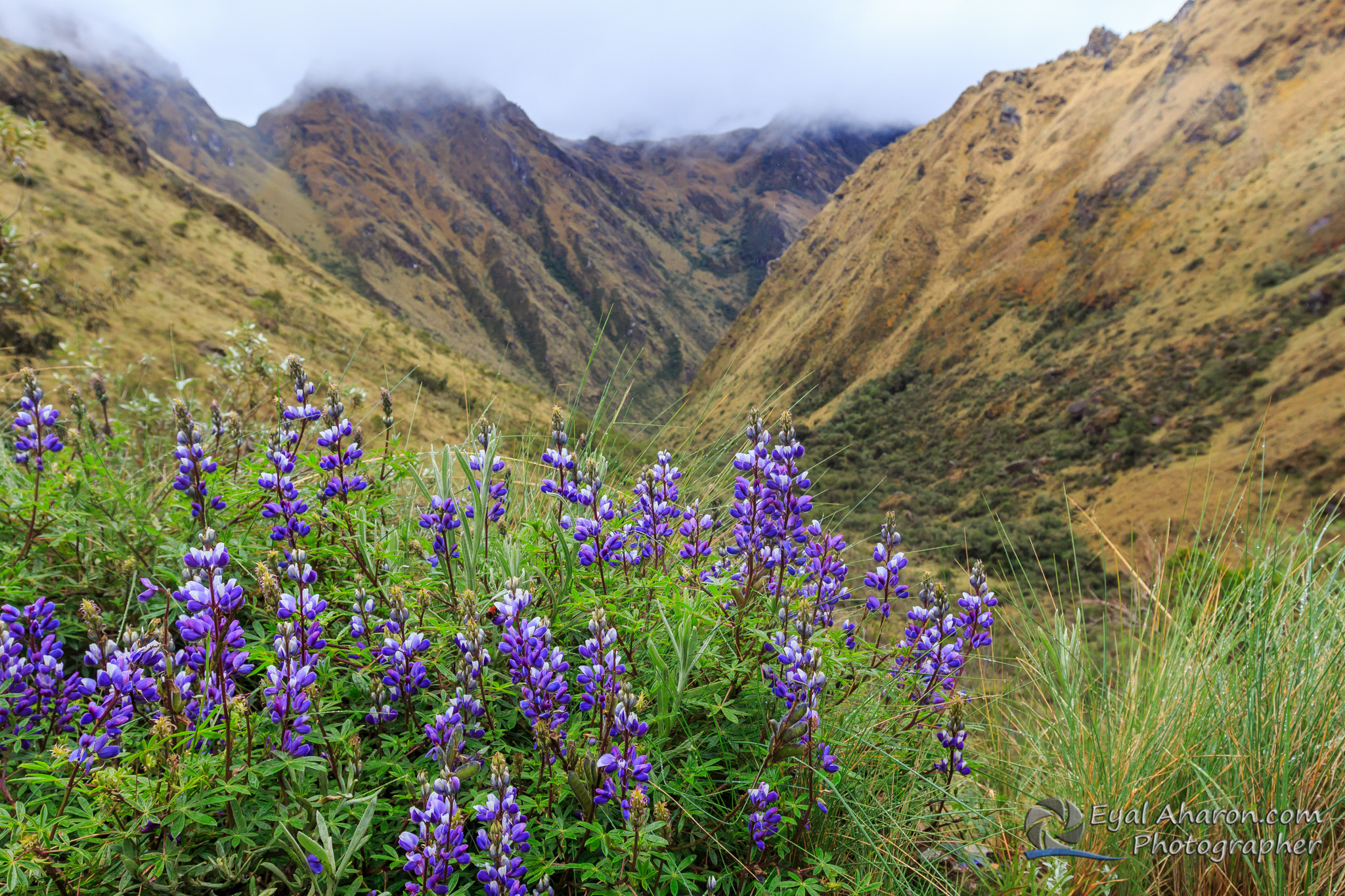 Canon EF 16-35mm F2.8L II USM sample photo. Machupichu trek peru dec photography