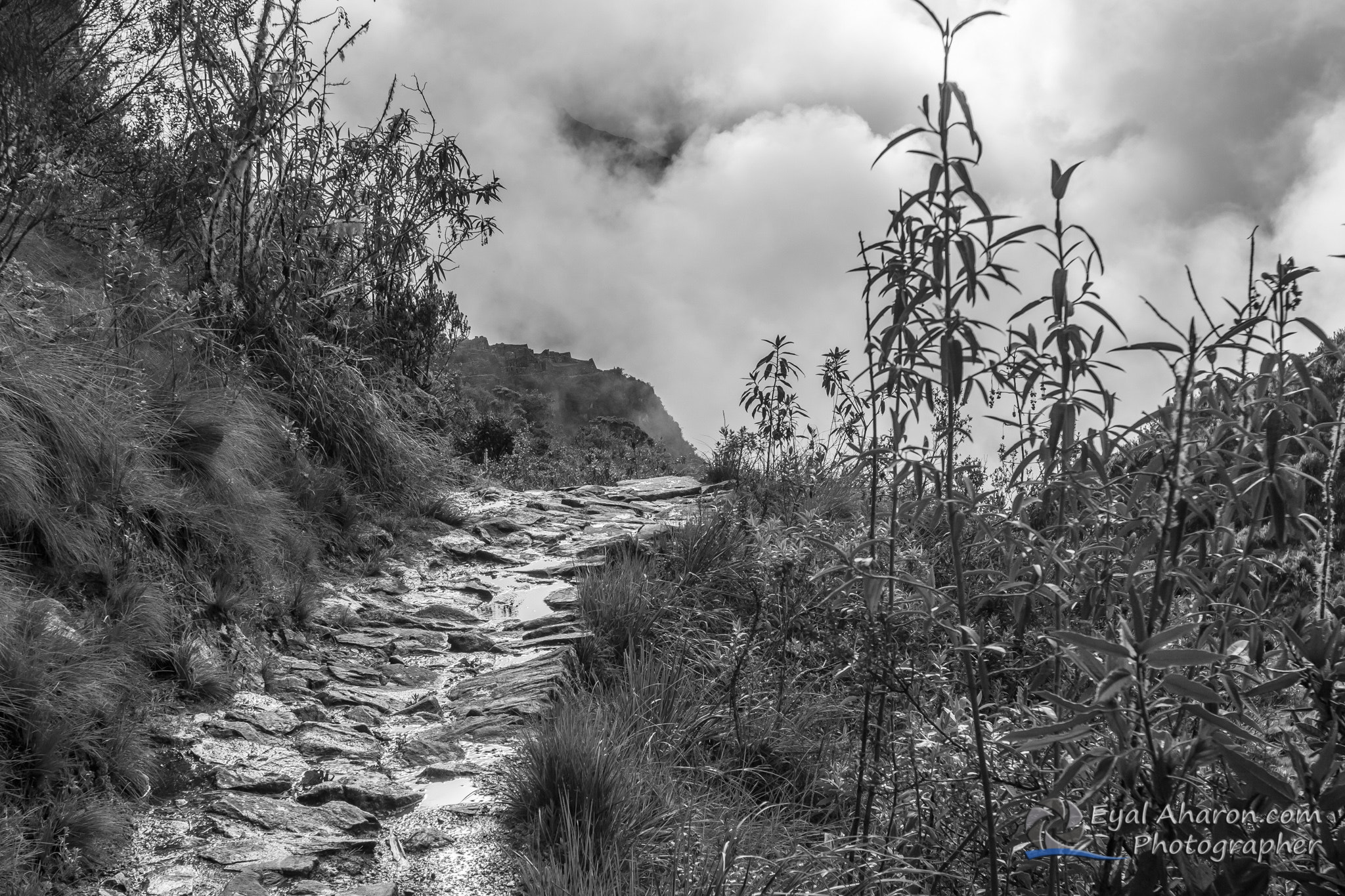Canon EF 16-35mm F2.8L II USM sample photo. Machupichu trek peru dec photography