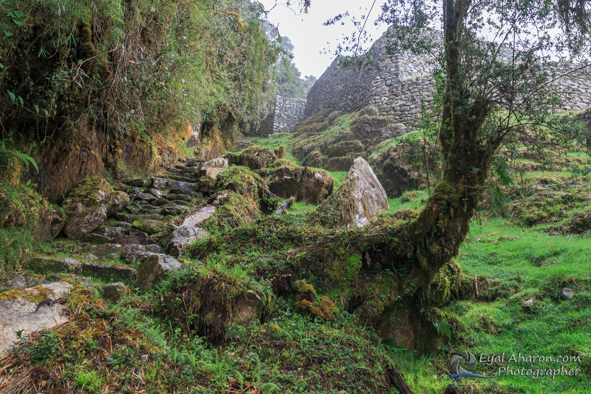 Canon EF 16-35mm F2.8L II USM sample photo. Machupichu trek peru dec photography