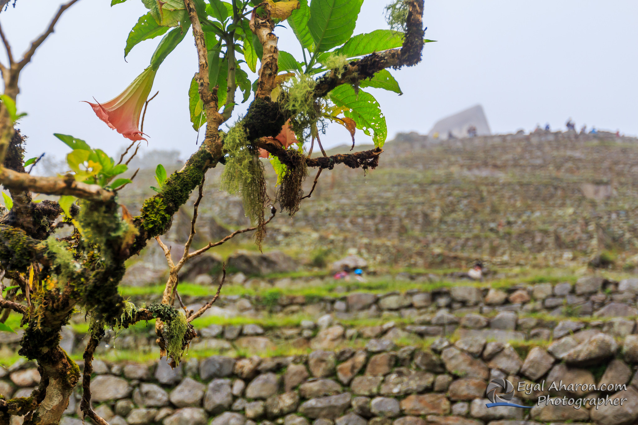 Canon EF 16-35mm F2.8L II USM sample photo. Machupichu trek peru dec photography