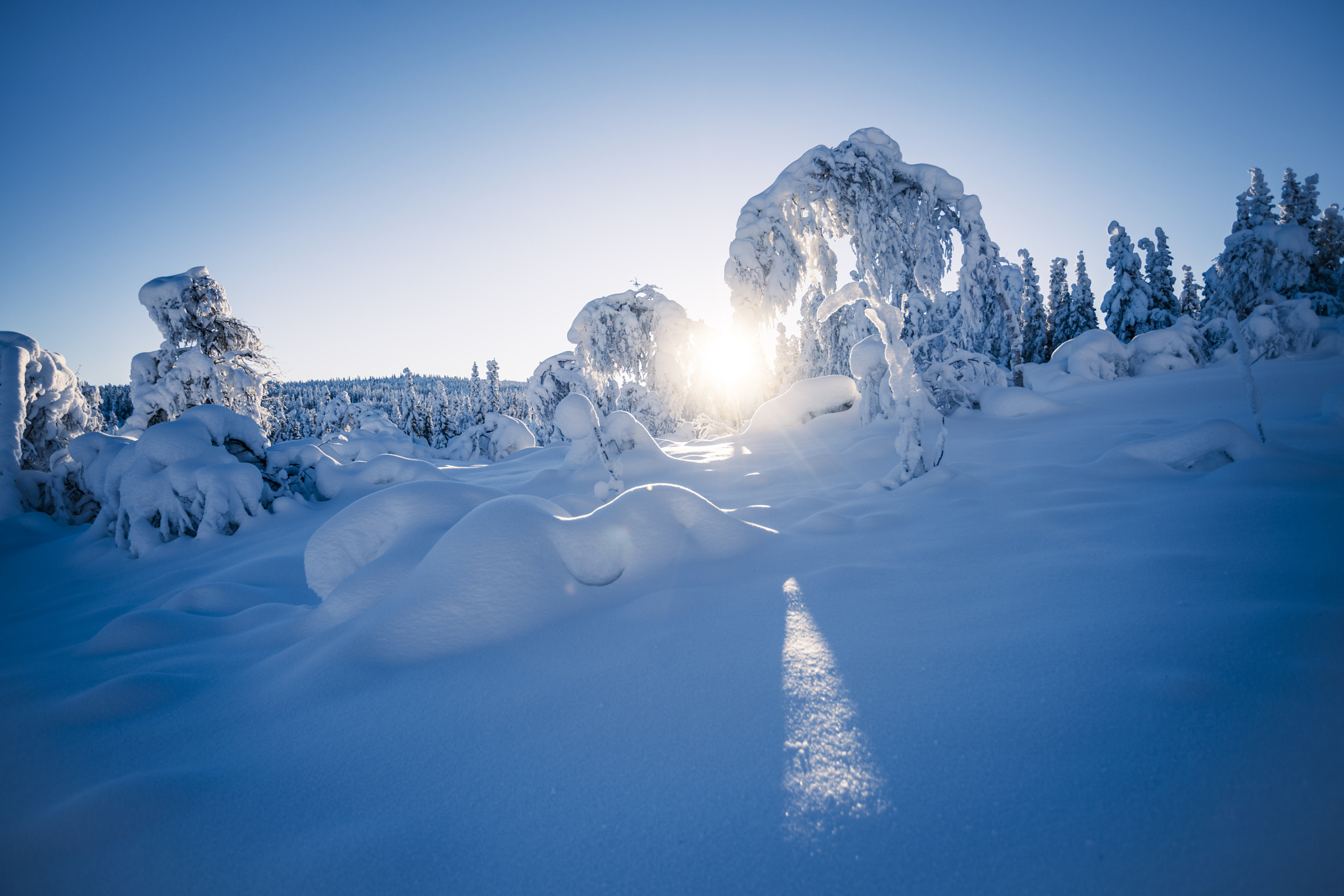 Sony a7R II + Canon EF 17-40mm F4L USM sample photo. Frozen trolls photography