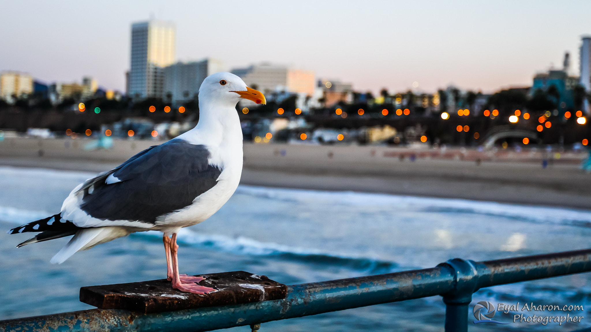 Canon EF 16-35mm F2.8L II USM sample photo. Santa monica sunrise photography