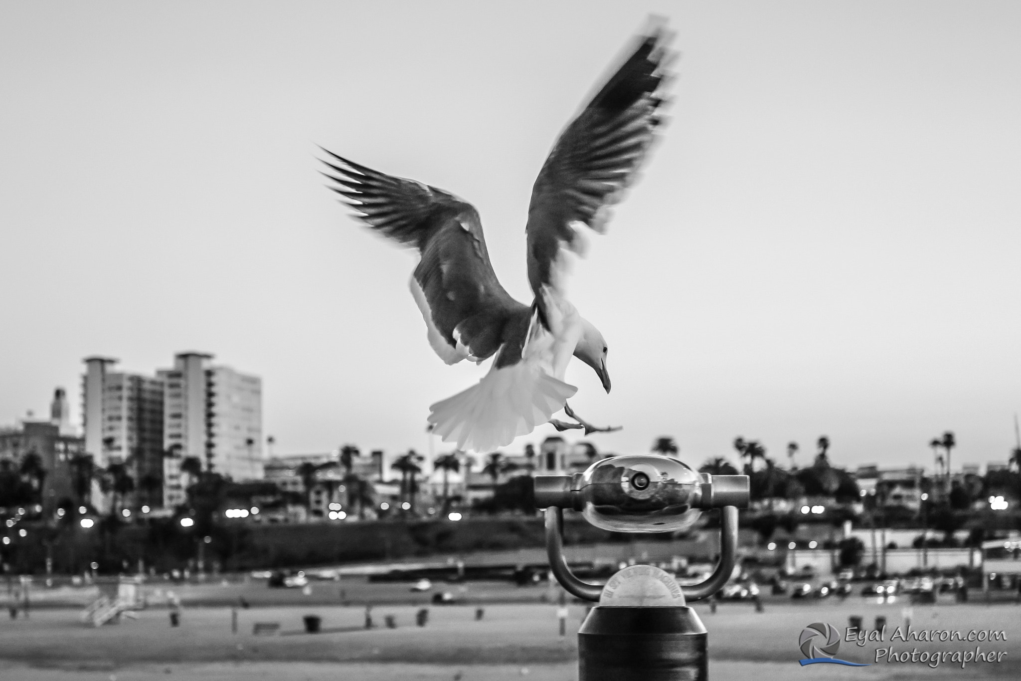 Canon EF 16-35mm F2.8L II USM sample photo. Santa monica sunrise photography