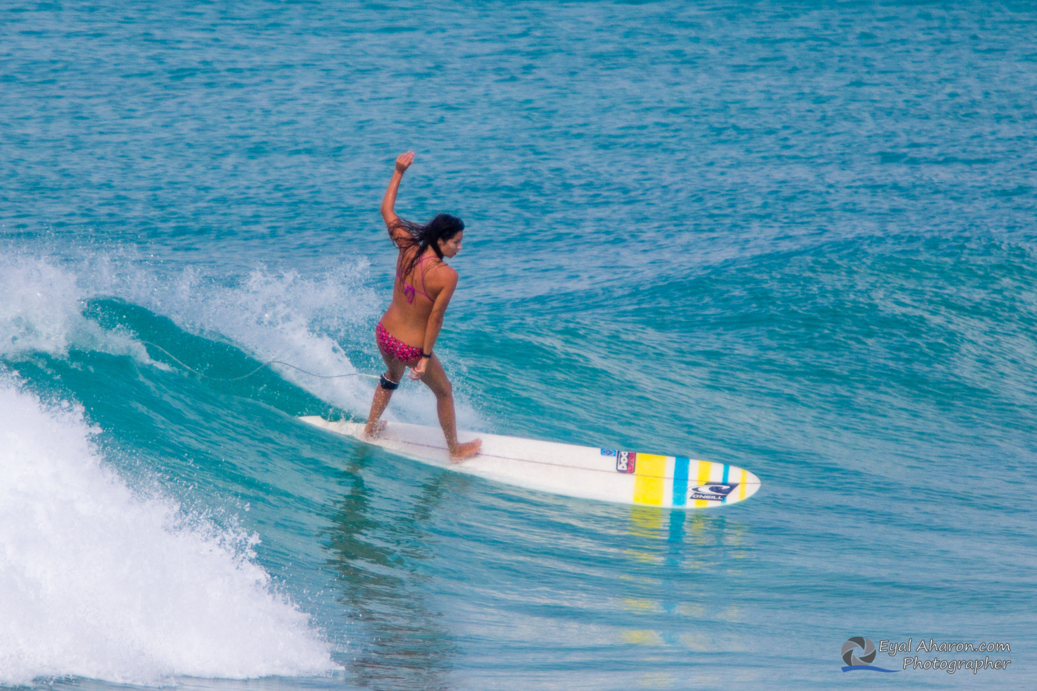 Canon EF 70-200mm F2.8L USM sample photo. Barbados, feb 2014 photography