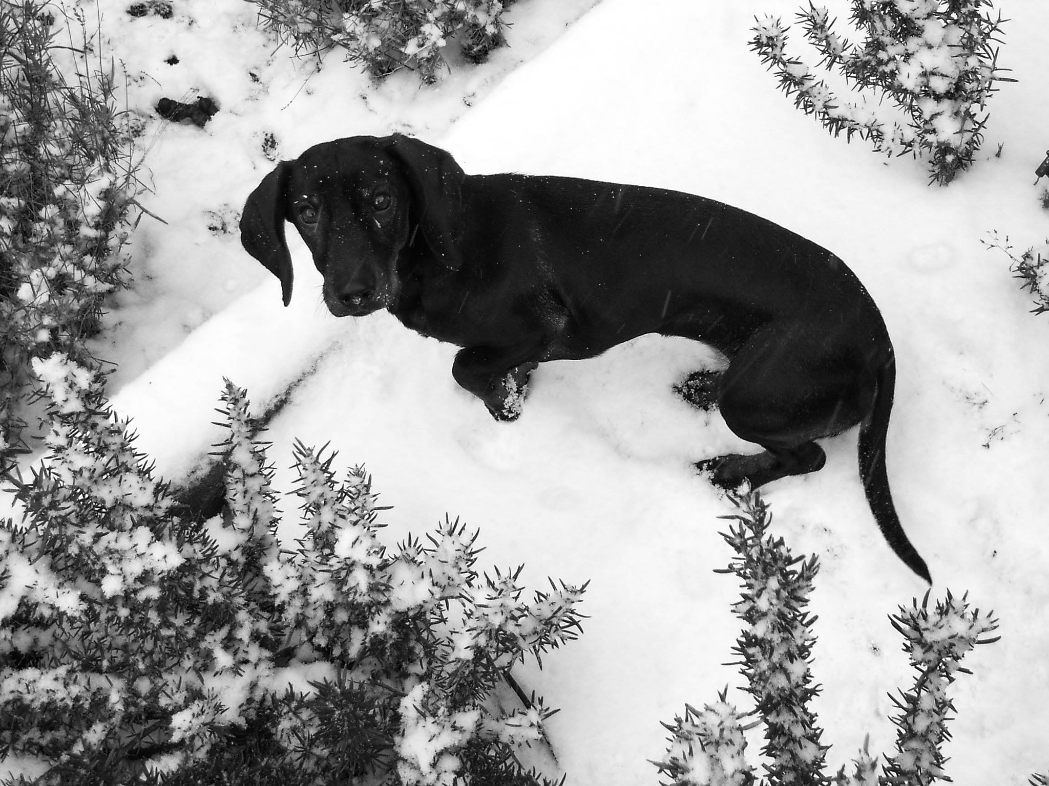 EPSON L-400 sample photo. 'tis cold mama! photography