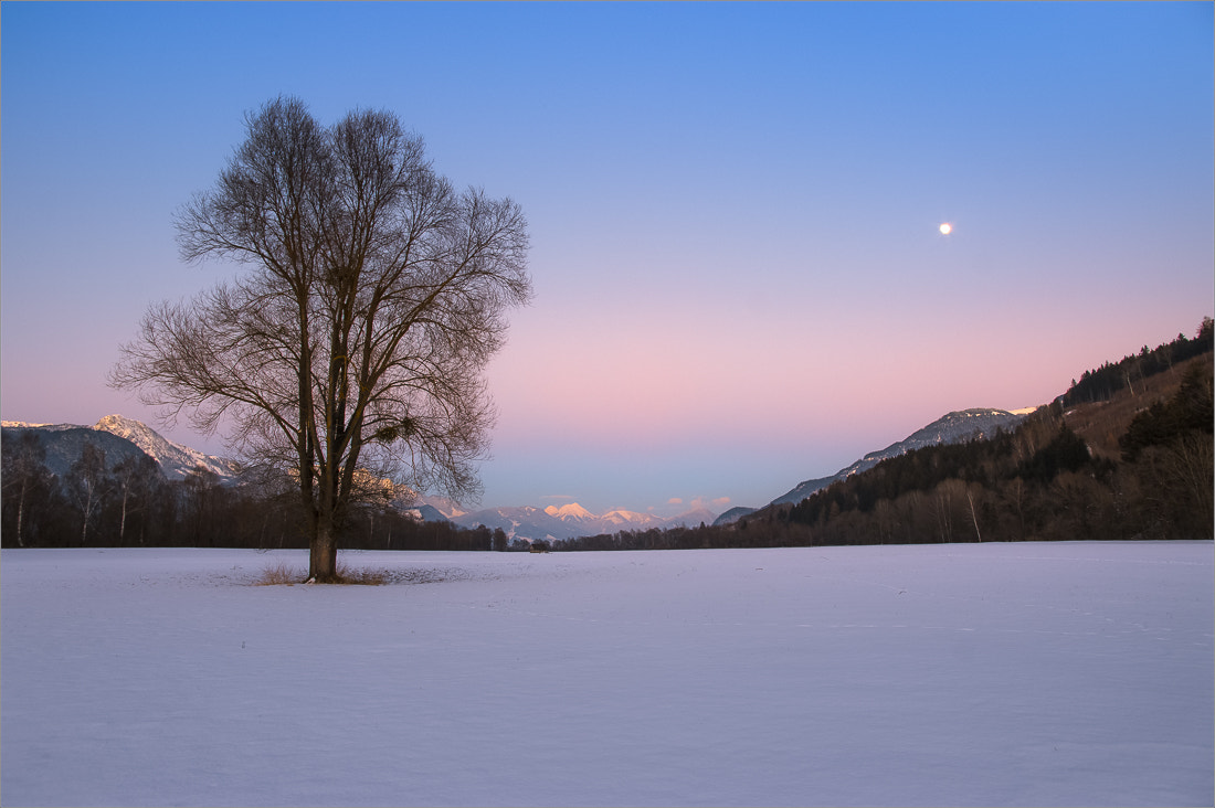 Pentax smc DA 14mm F2.8 ED (IF) sample photo. Winter baum photography