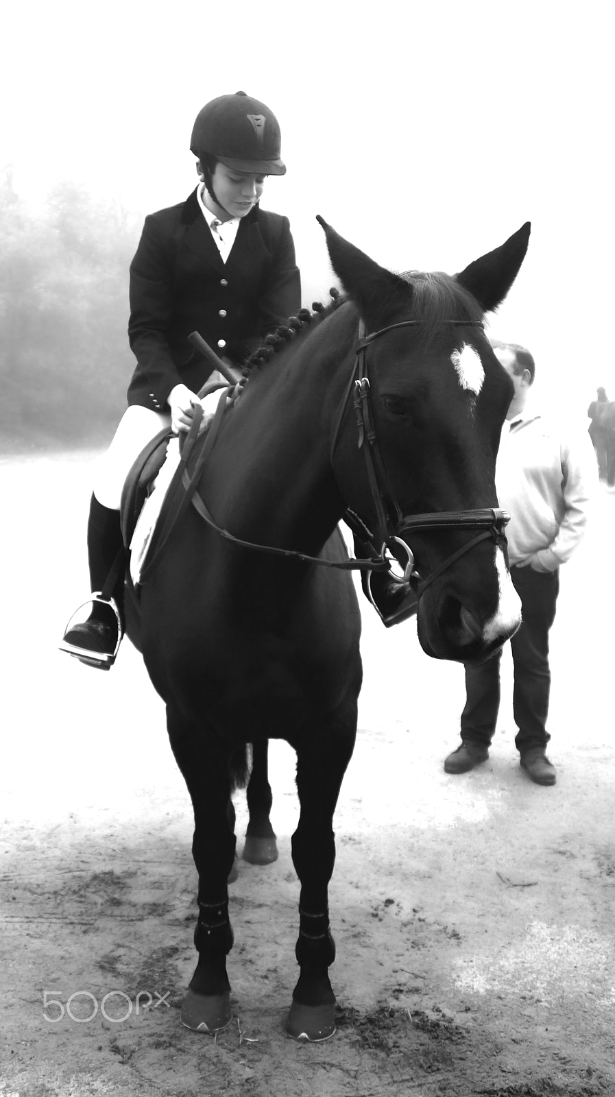 Sony DT 18-200mm F3.5-6.3 sample photo. |  at a gallop | photography