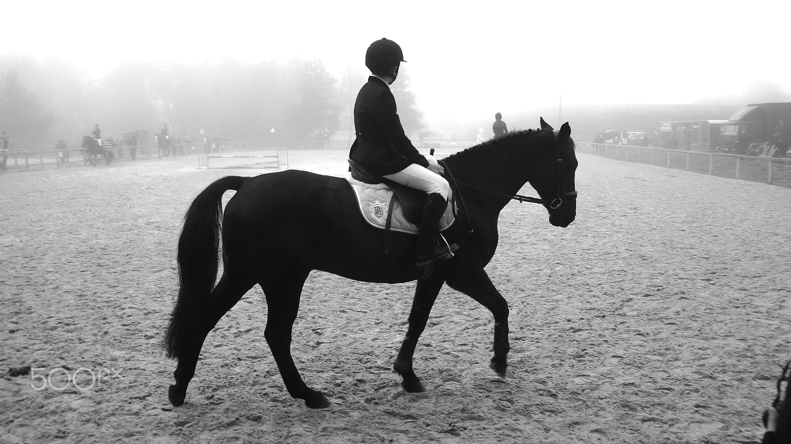 Sony DT 18-200mm F3.5-6.3 sample photo. |  at a gallop | photography