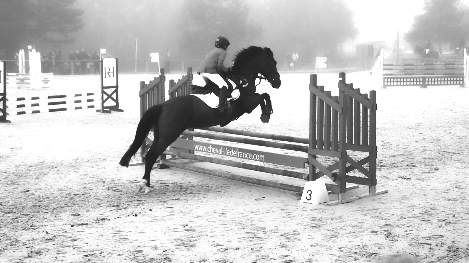 Sony DT 18-200mm F3.5-6.3 sample photo. |  at a gallop | photography